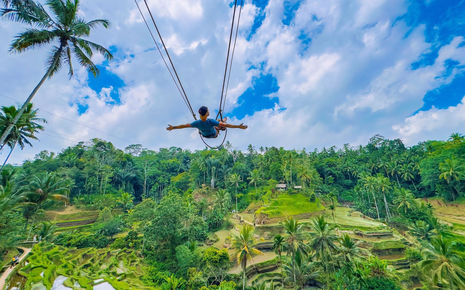 Voyageur solo confirmé : safari plongée d’exploration à Bali - 9 nuits
