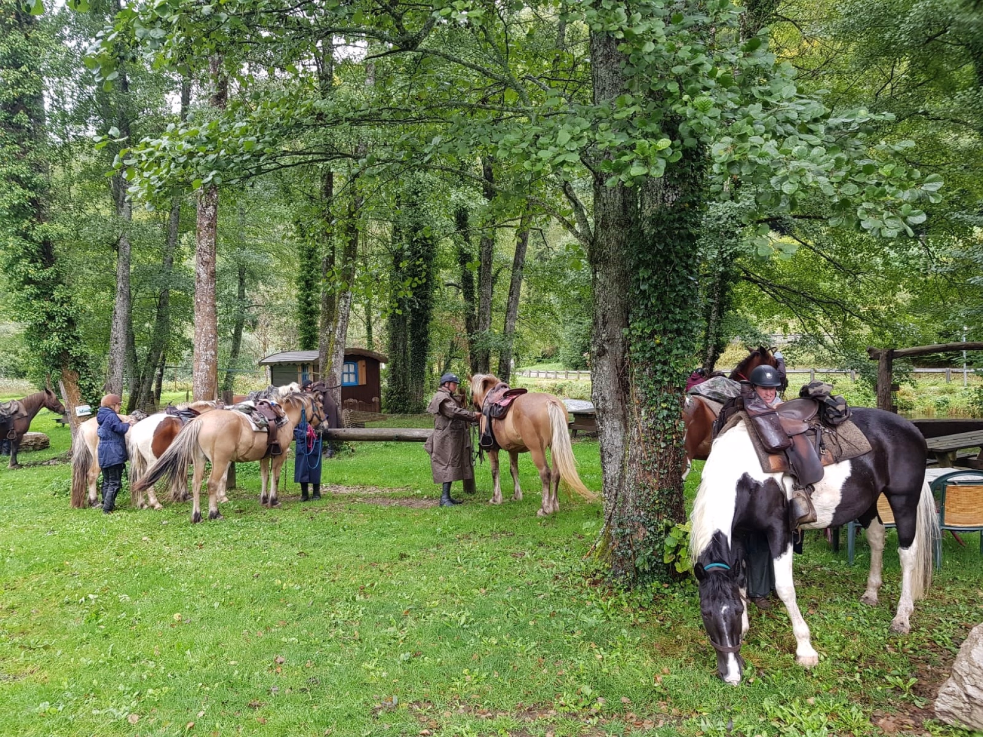 🏠 Auberge - Jour 3