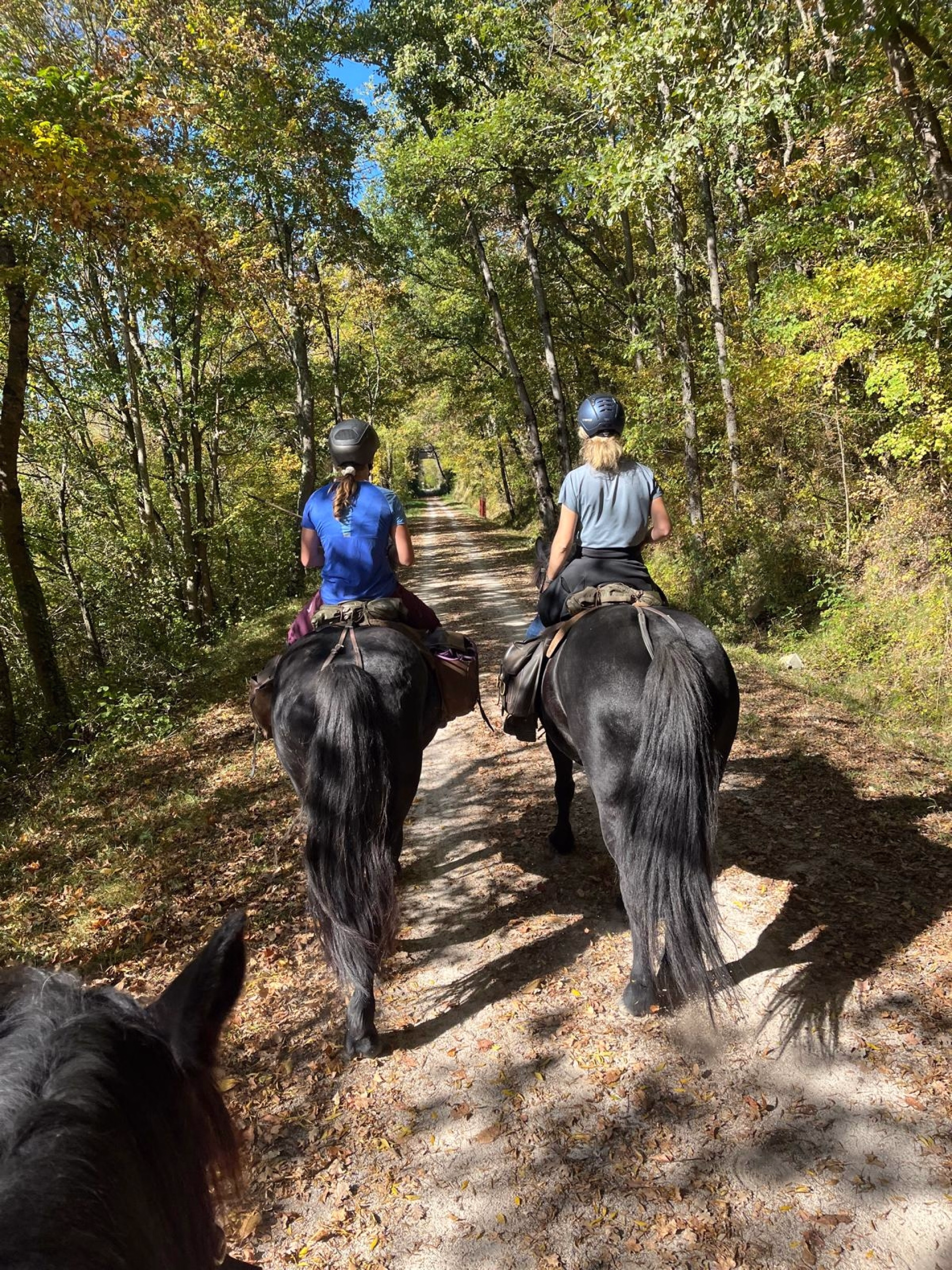 Belles demeures en Pyrénées cathares à cheval