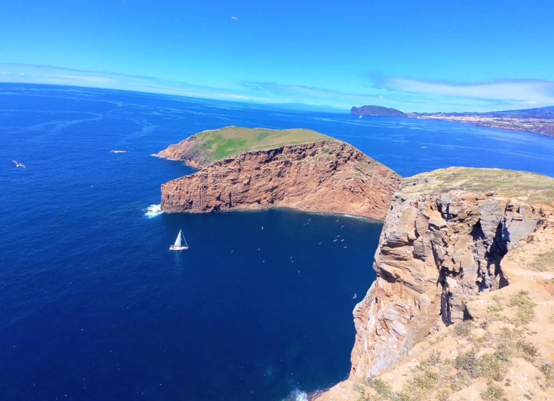 Stage de voile habitable et faune marine aux Açores