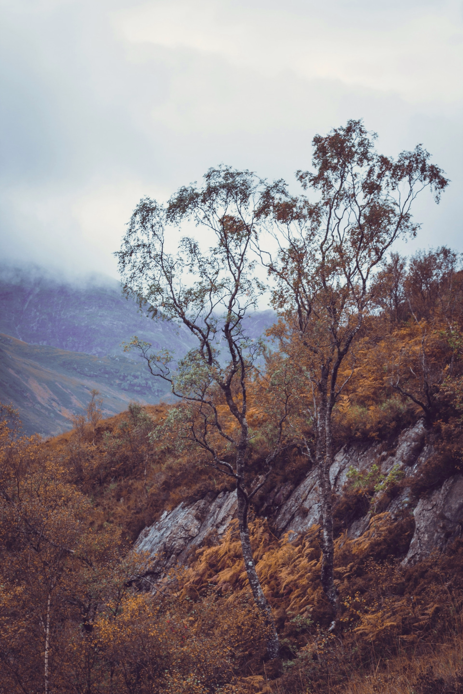 Du Loch Lomond aux montagnes de Glencoe par la West Highland Way