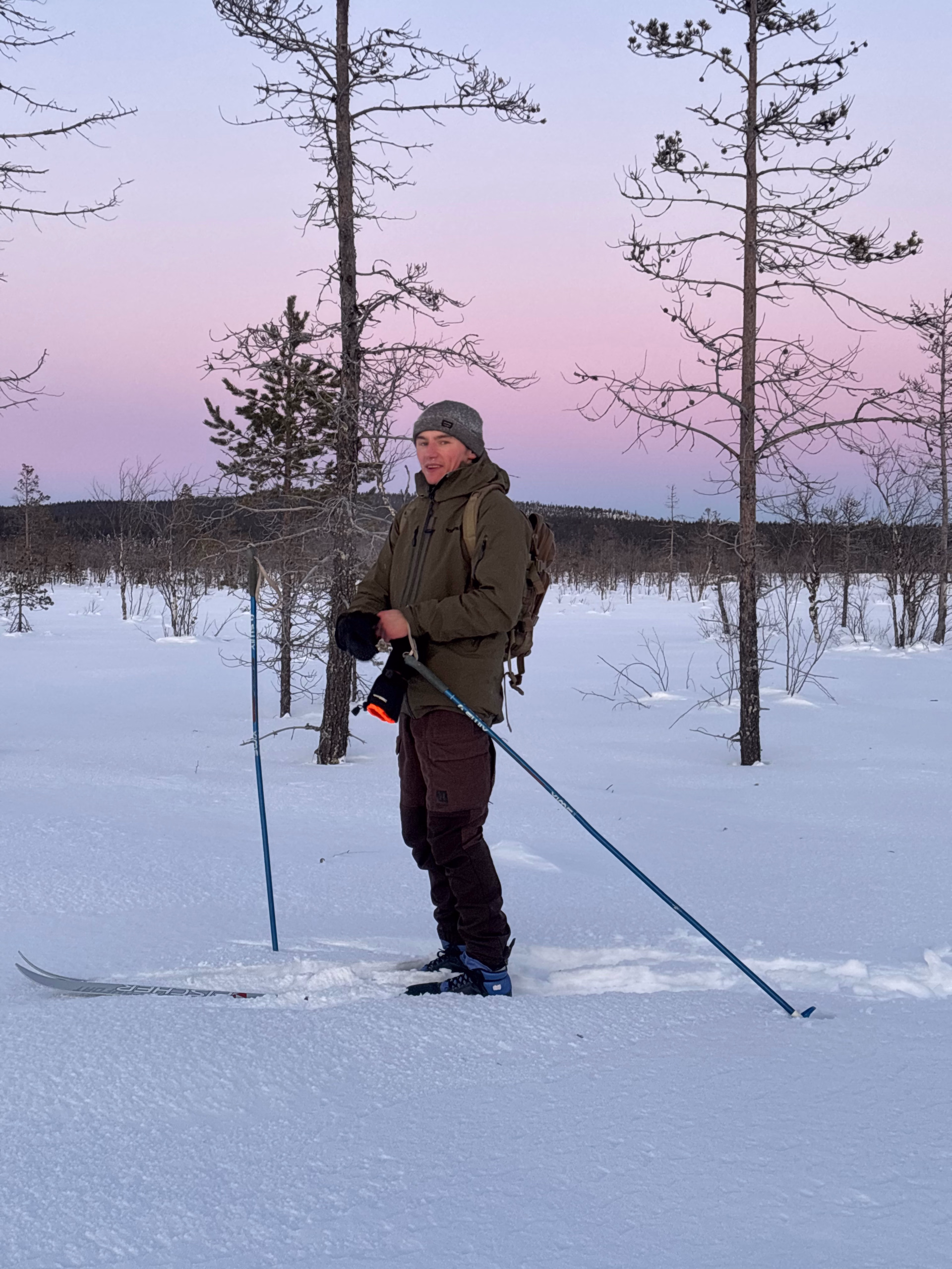 Expédition en terre arctique - chiens de traîneau et bivouac