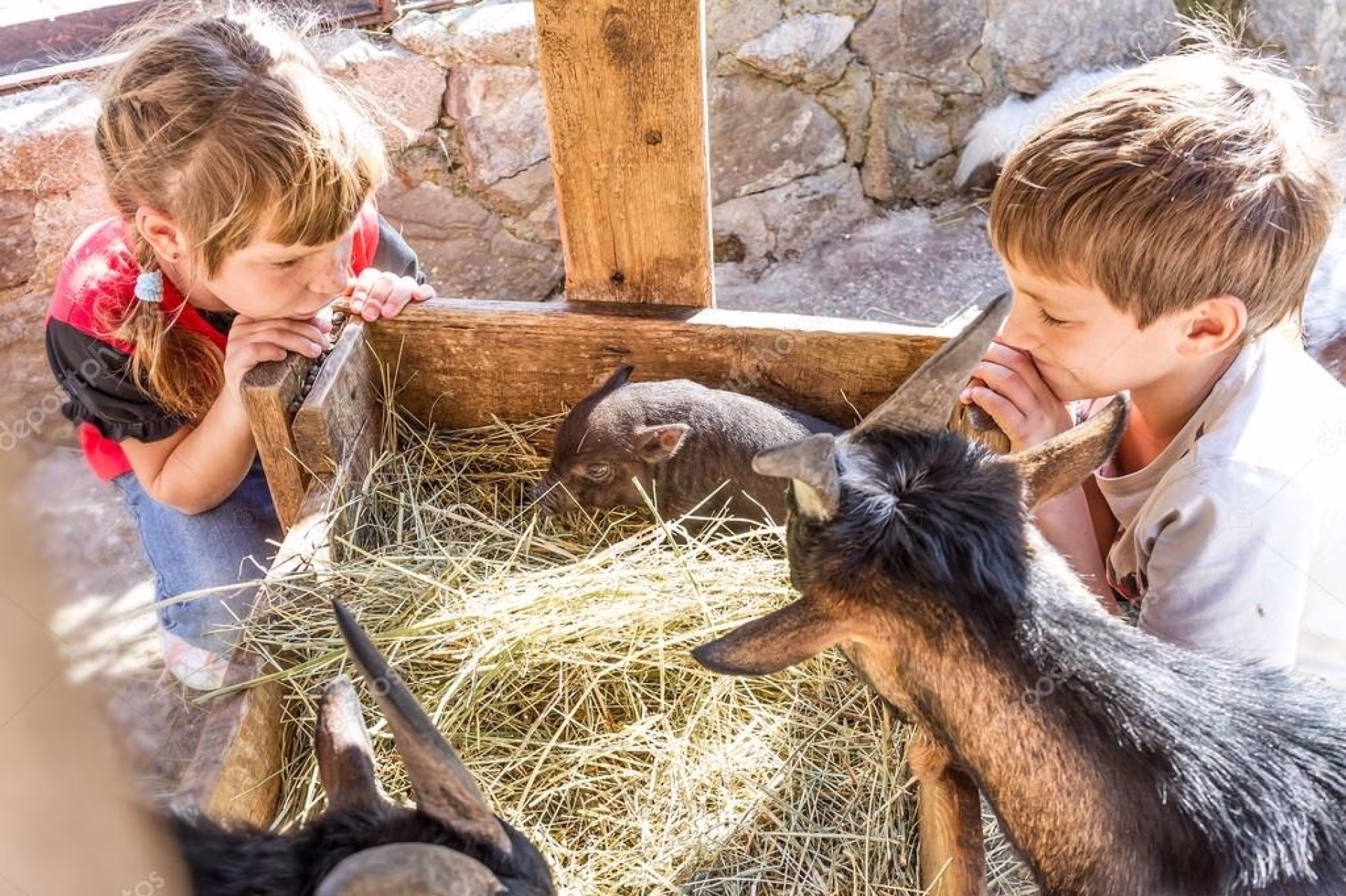 Séjour découverte du Vercors en famille