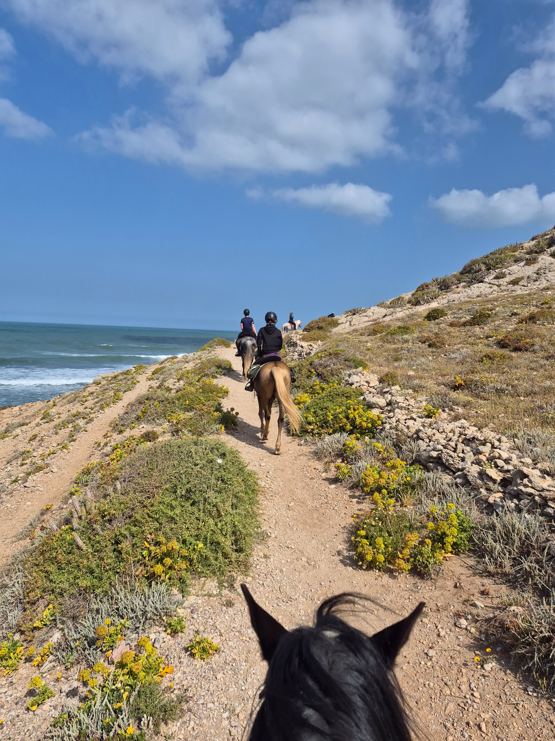 La Boucle d'Iftane - Randonnée équestre à Essaouira