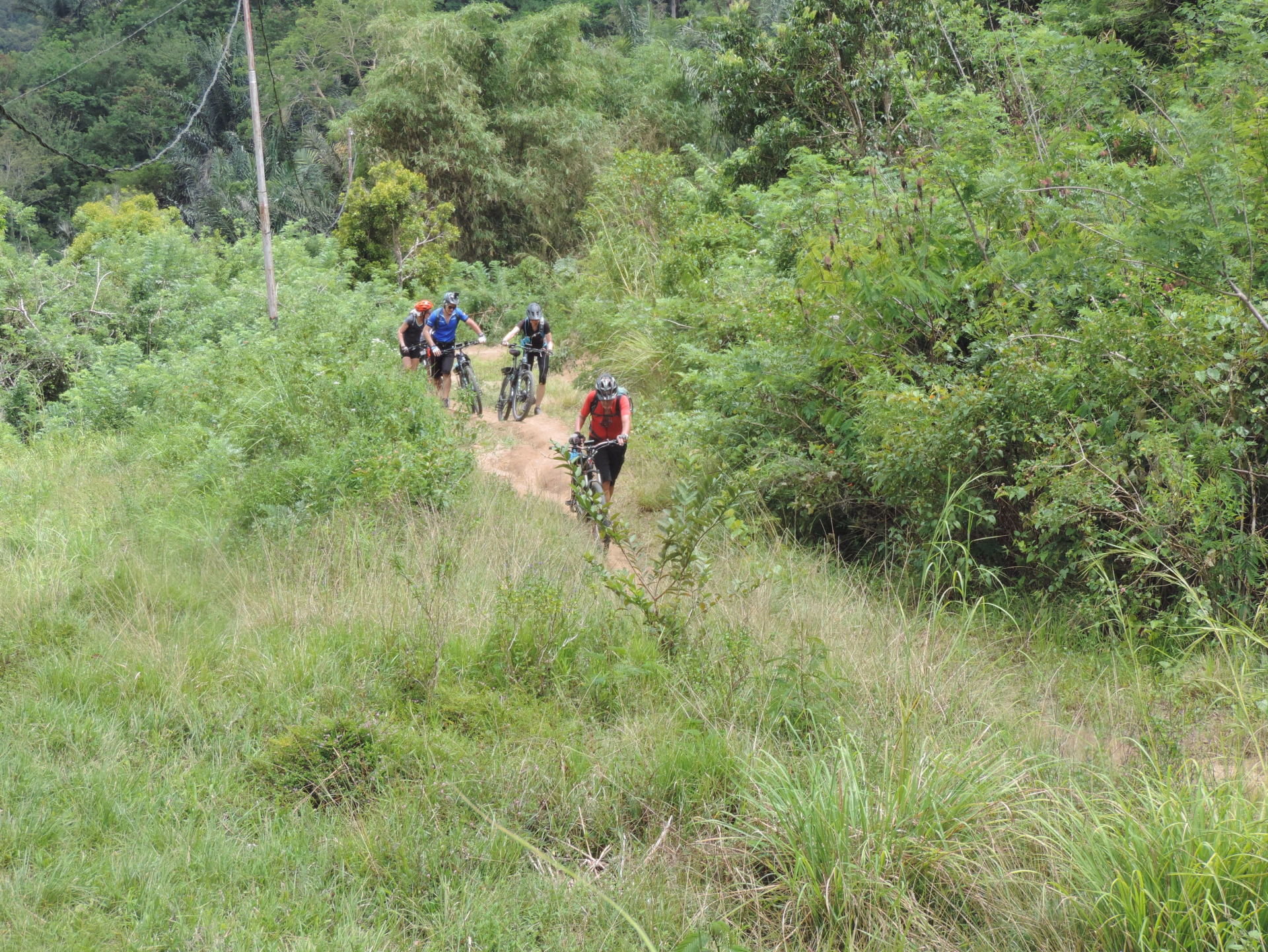 Sumatra Nord en vélo électrique : Lac Toba et jungle de Sumatra