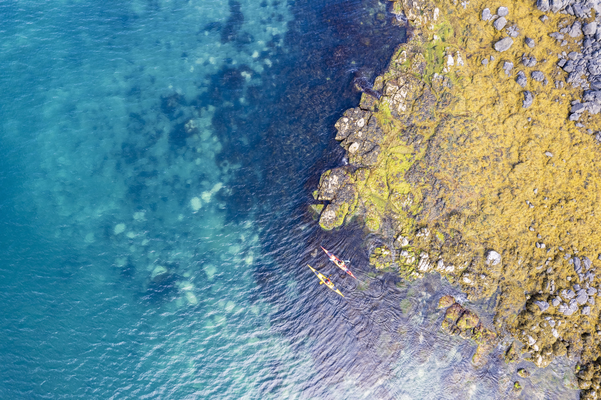 Pagayer en pleine nature en Kayak de mer à Hornstrandir