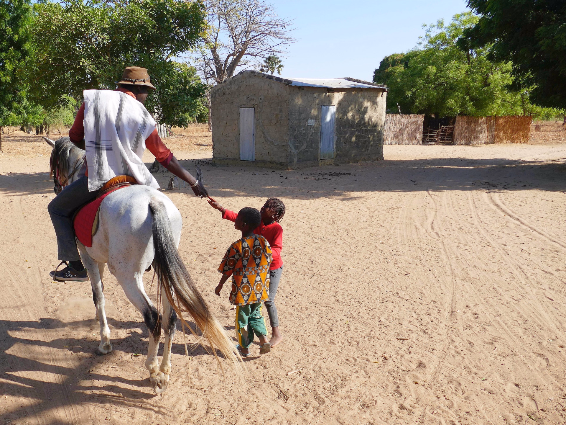 Safari à cheval dans le Sine Saloum au Sénégal