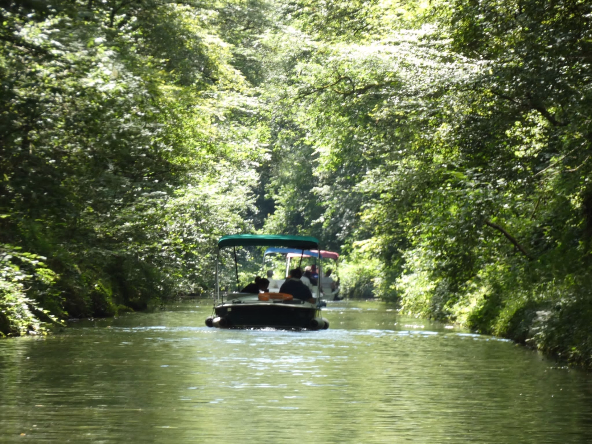 Escapade Yoga & Randonnée au cœur du Morvan