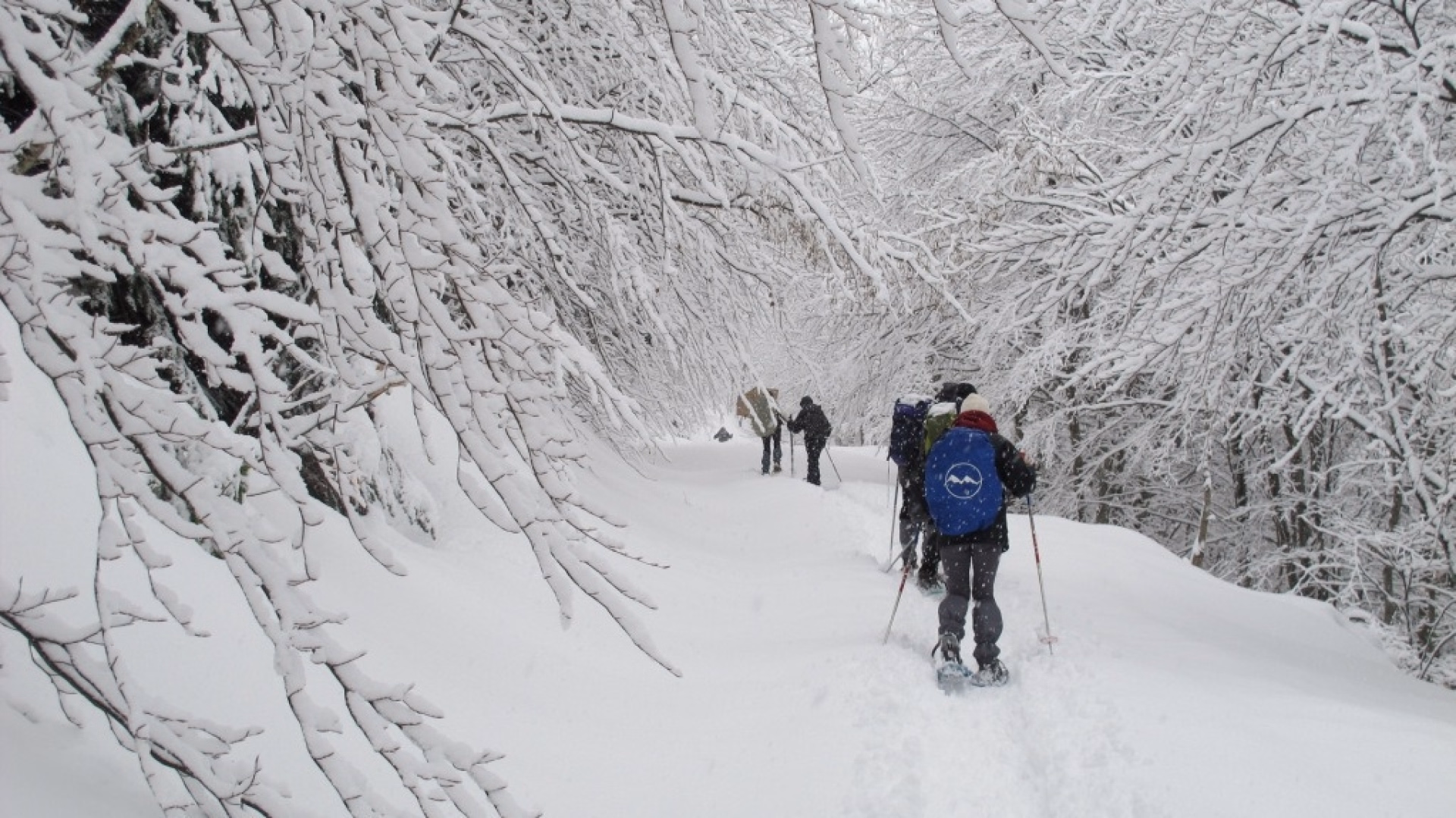 Séjour raquettes et nuits en gîte dans les Hautes-Alpes - 7 jours