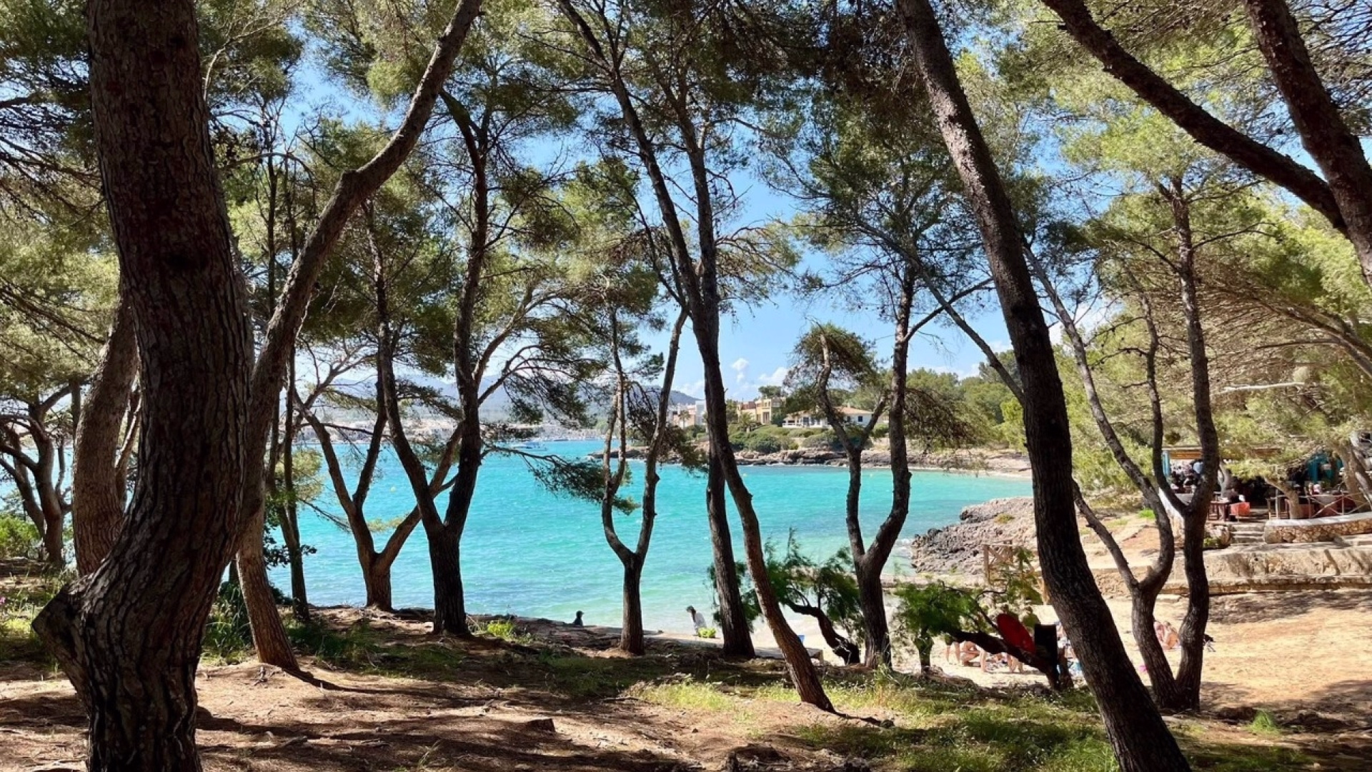 Stage triathlon en itinérance à Majorque