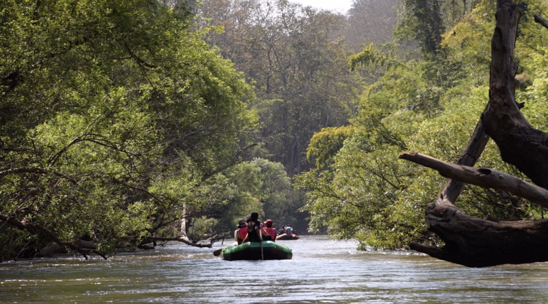 Trek, cascades et éléphants sauvages au cœur de la Thaïlande