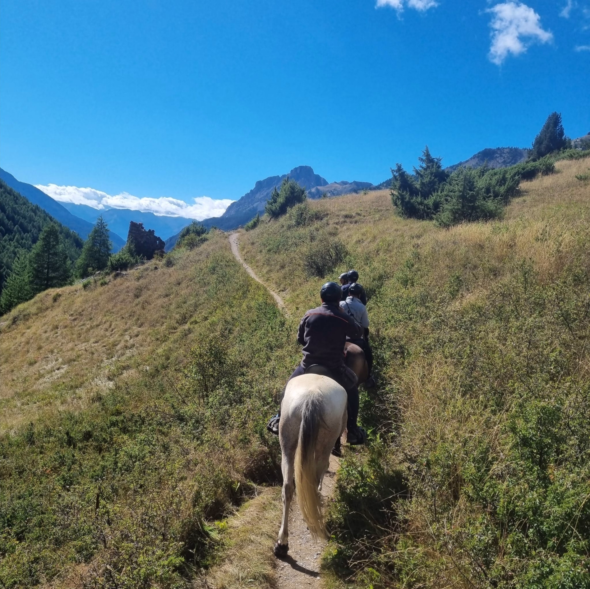 Trek des lacs et panoramas du Viso en Queyras