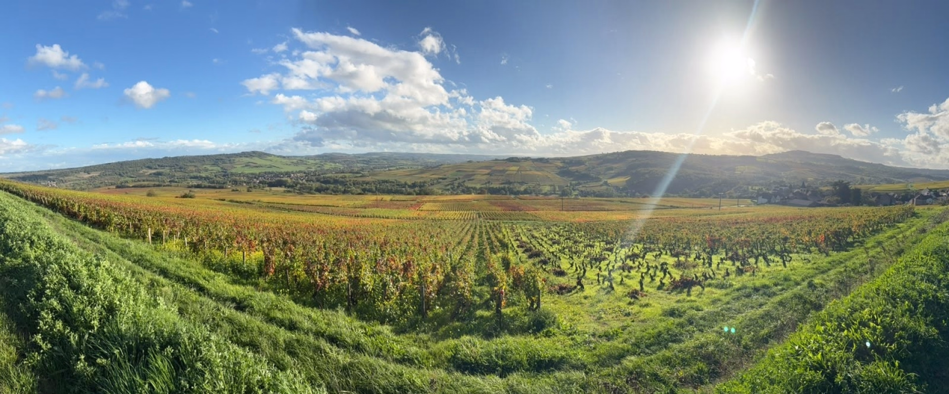 Les côtes de Beaune