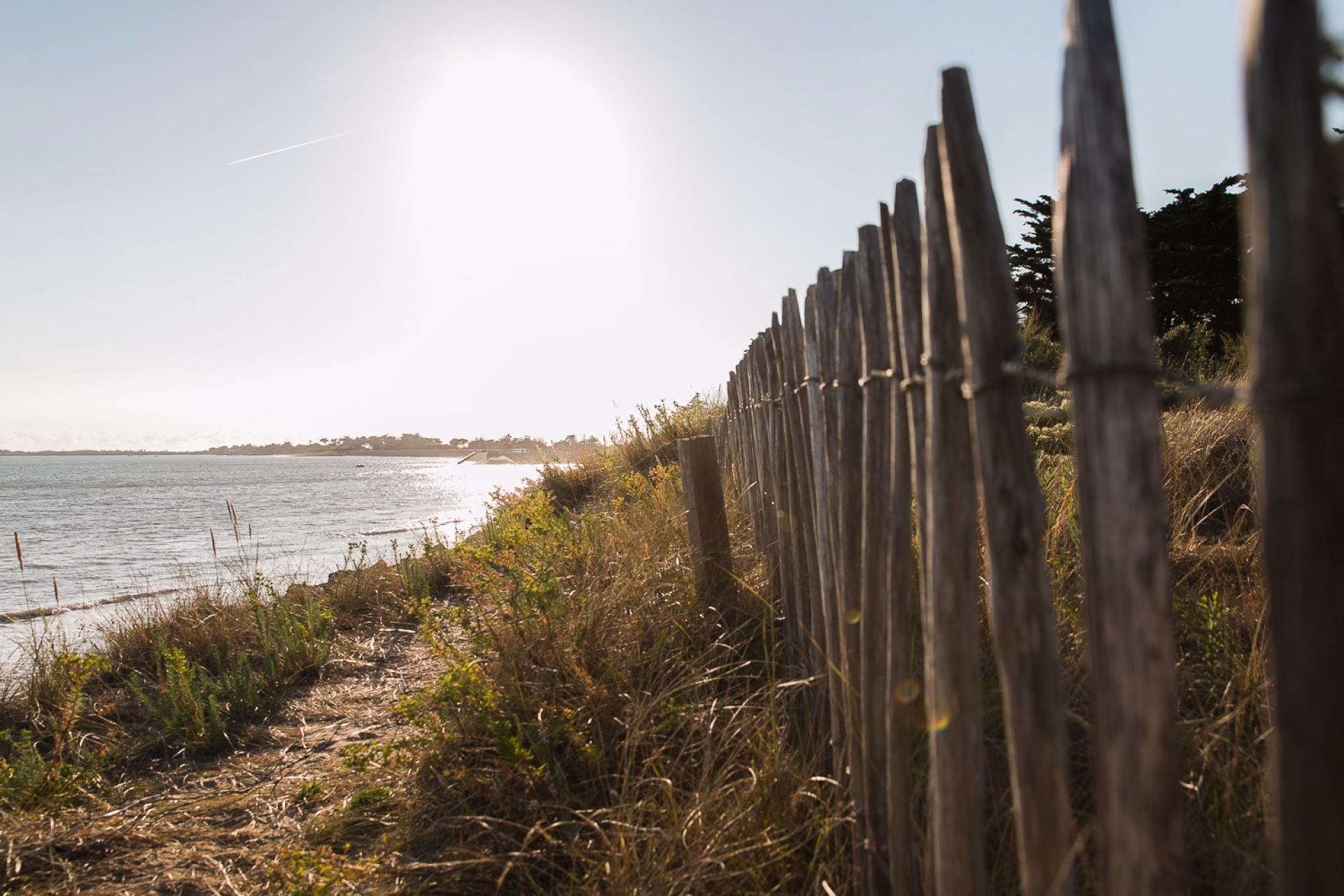 Stage kitesurf x Tribord : immersion exclusive dans le sud ouest