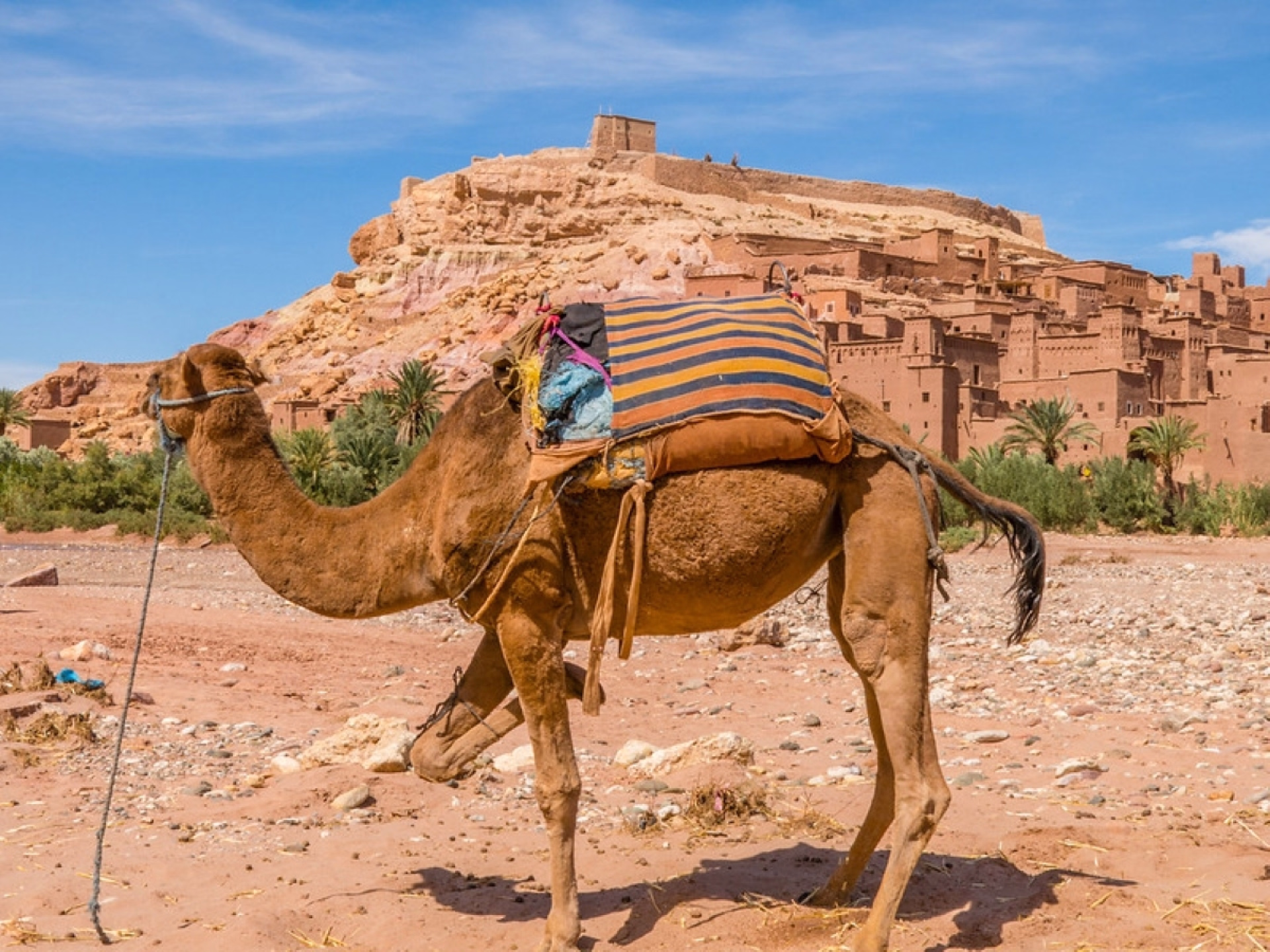 Circuit Merzouga 3 jours au départ de Marrakech