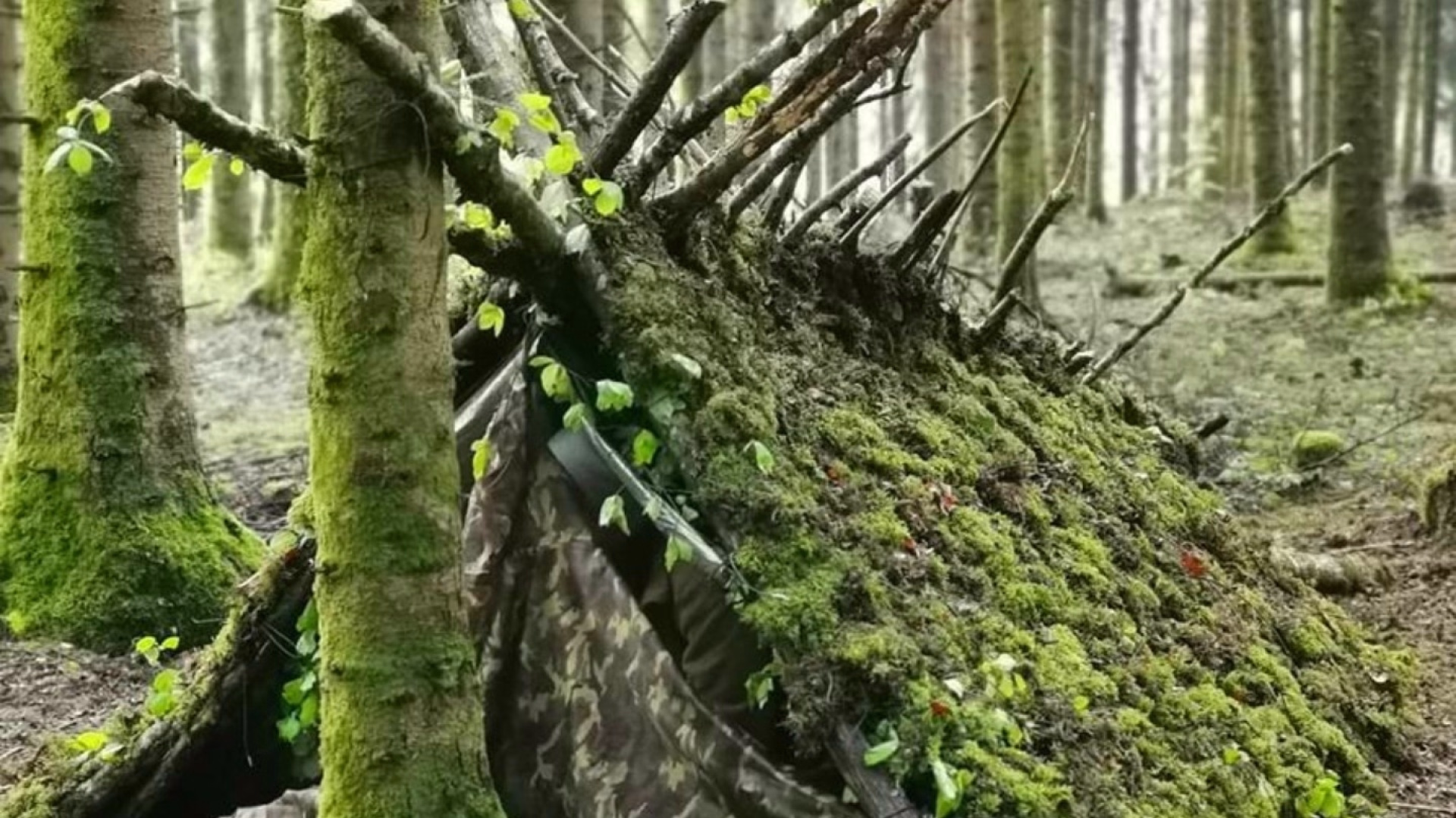 Stage de survie essentiel Belgique - viroinval