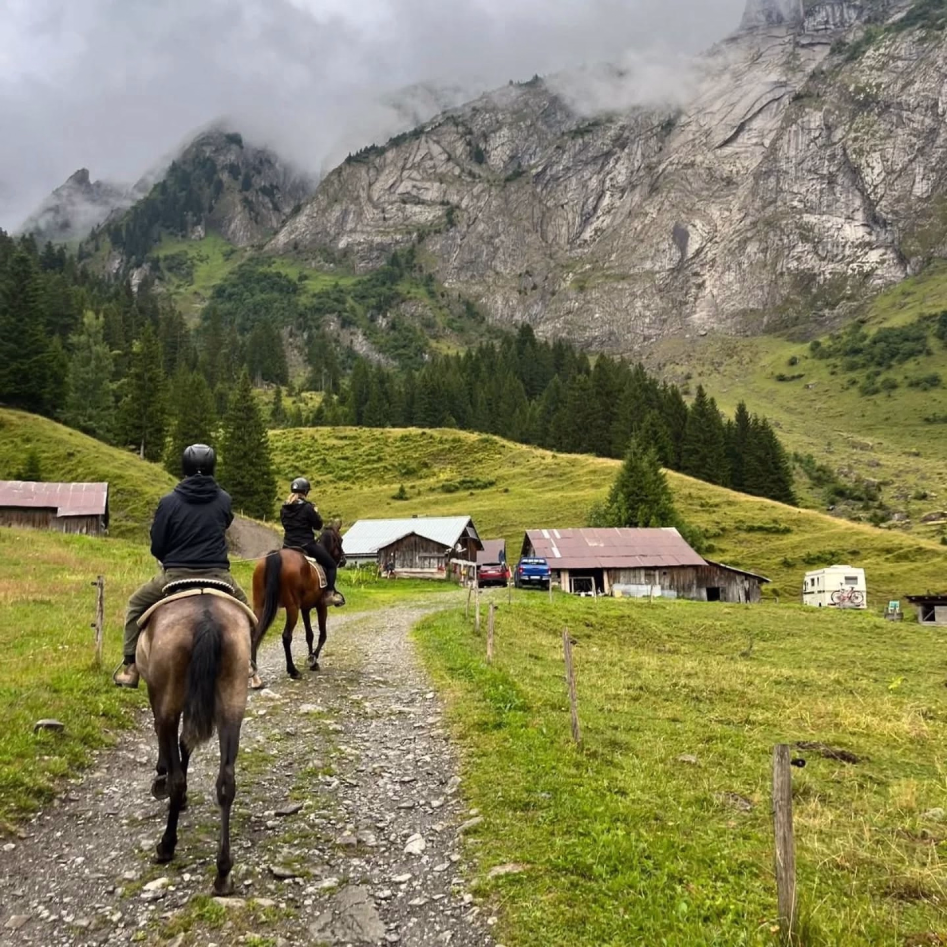 Premiers pas à cheval dans les Alpes, entre sentiers et refuge