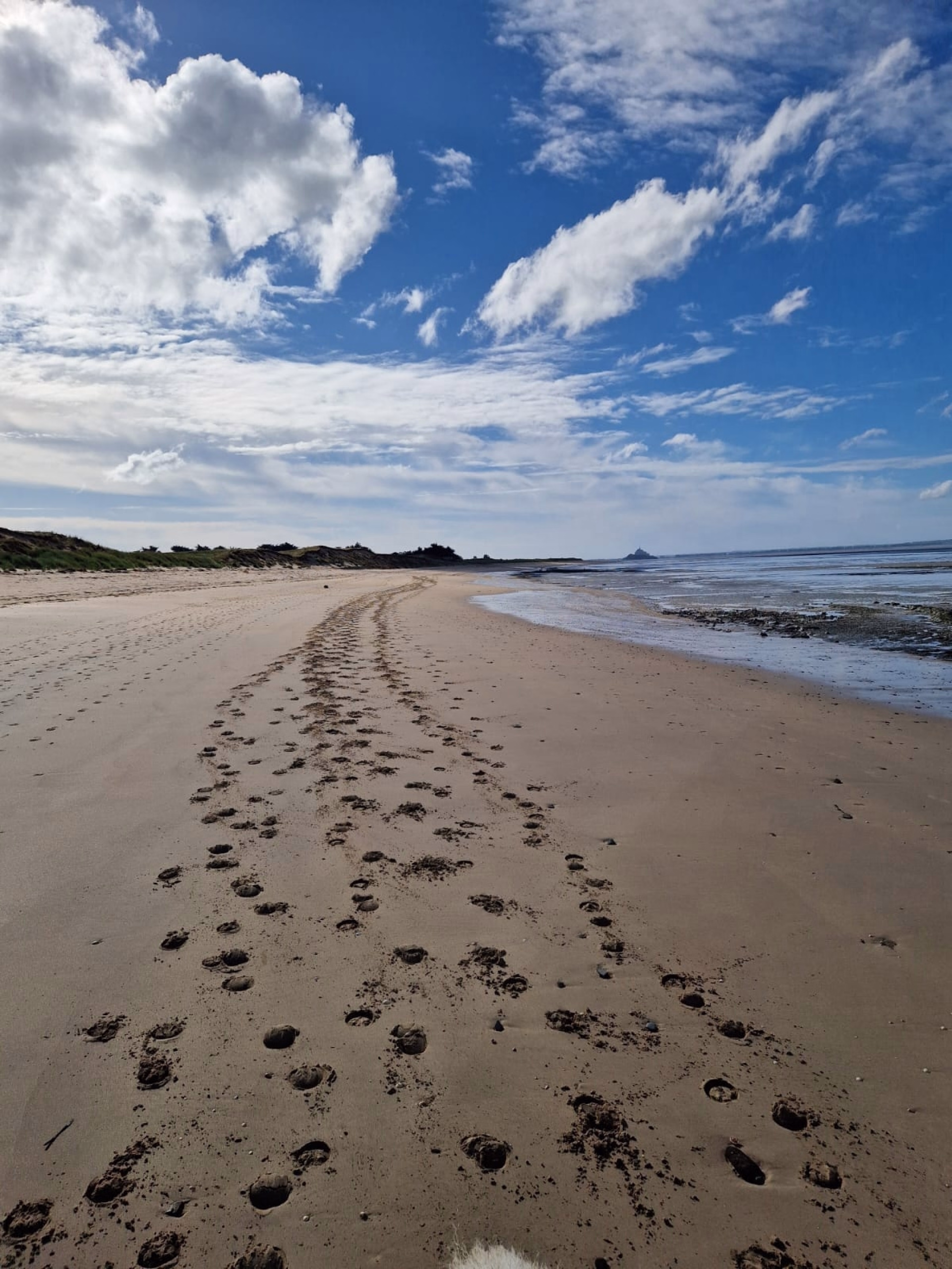 Randonnée à cheval en Baie du Mont-St-Michel entre Granville et Genêt