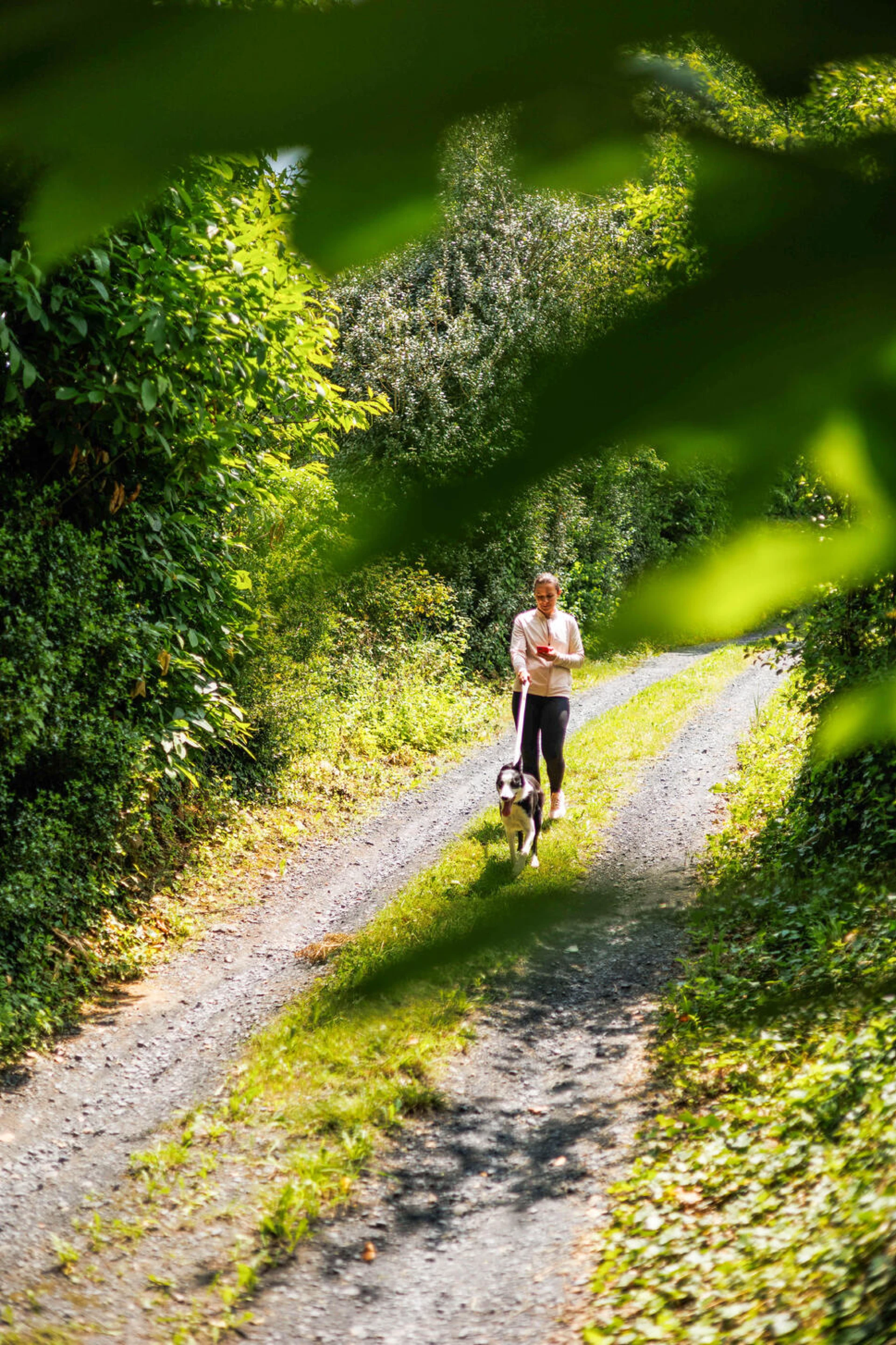séjour multiactivité chien