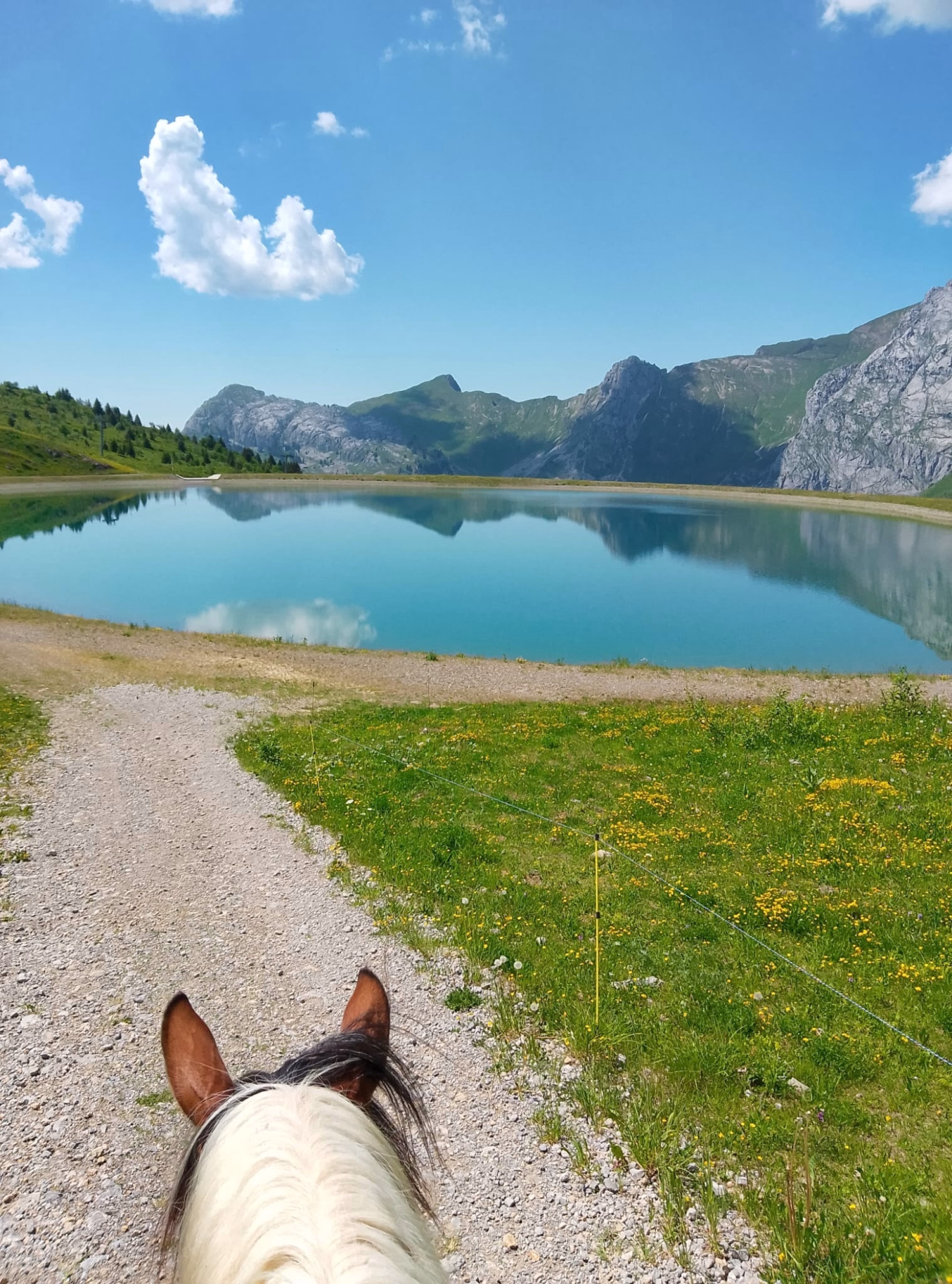 Séjour cheval et bien être dans les Aravis