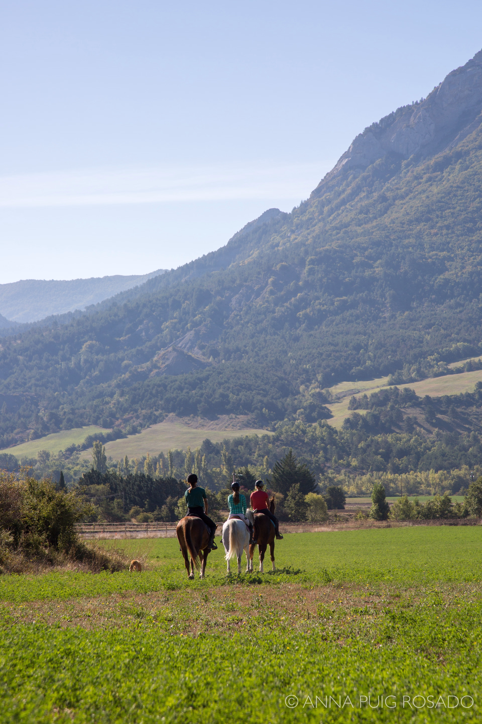 Les Baronnies provençales à cheval