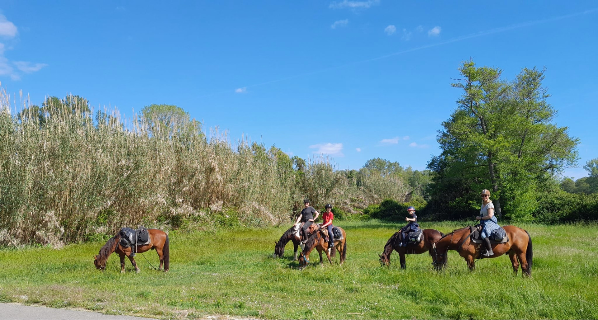 Randonnée équestre entre mer et montagne en Corse