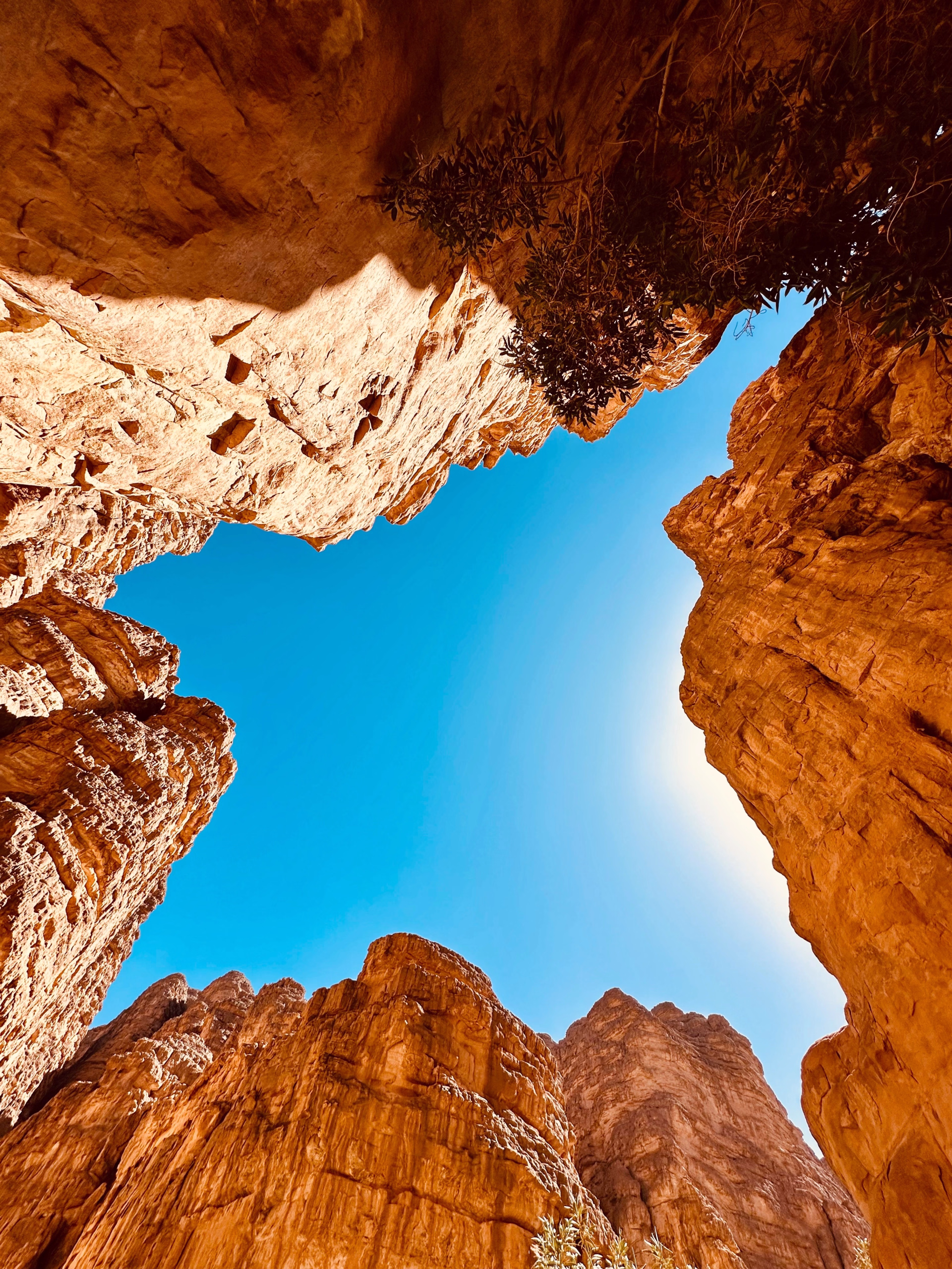 Yoga et aventure douce en Algérie : Sahara, Tassili n’Ajjer, Alger
