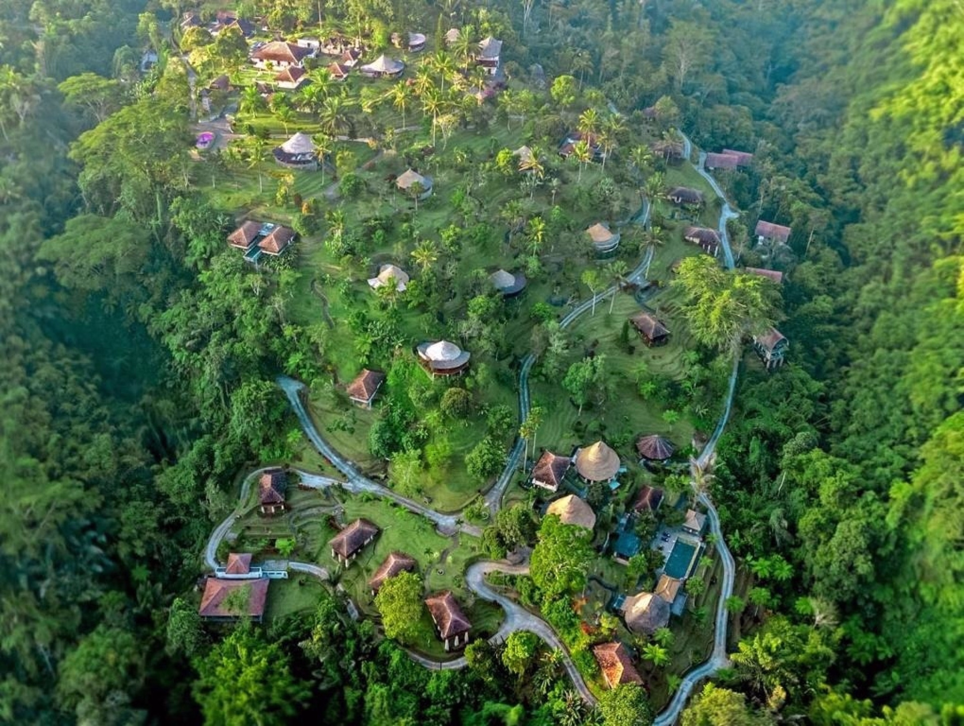 4 jours de Yoga au cœur des forêts tropicales d'Ubud