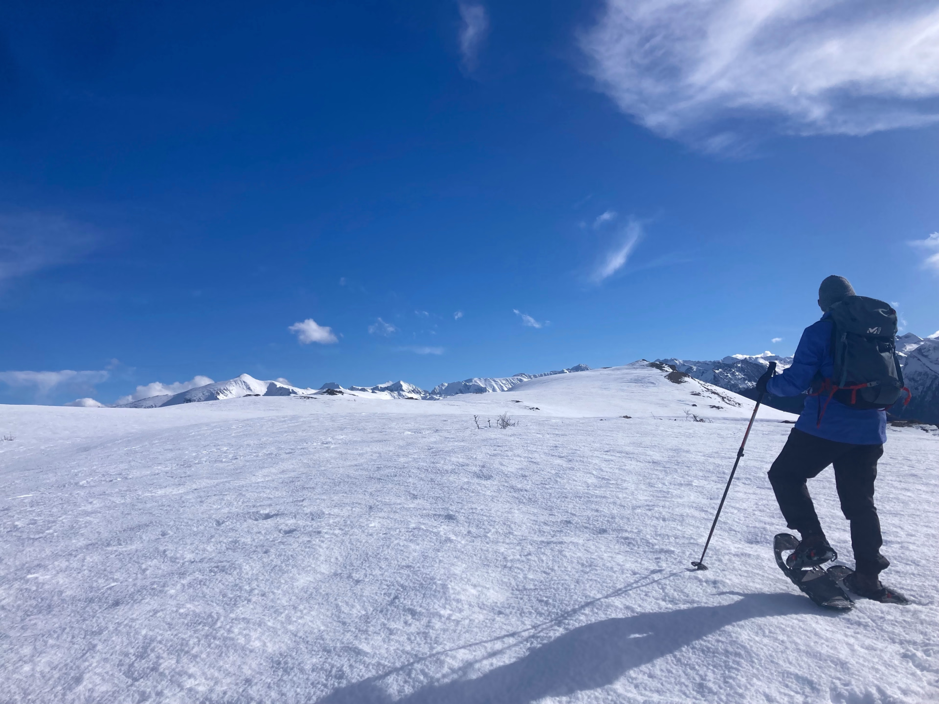 Escapade hivernale en raquettes au pays de l'ours