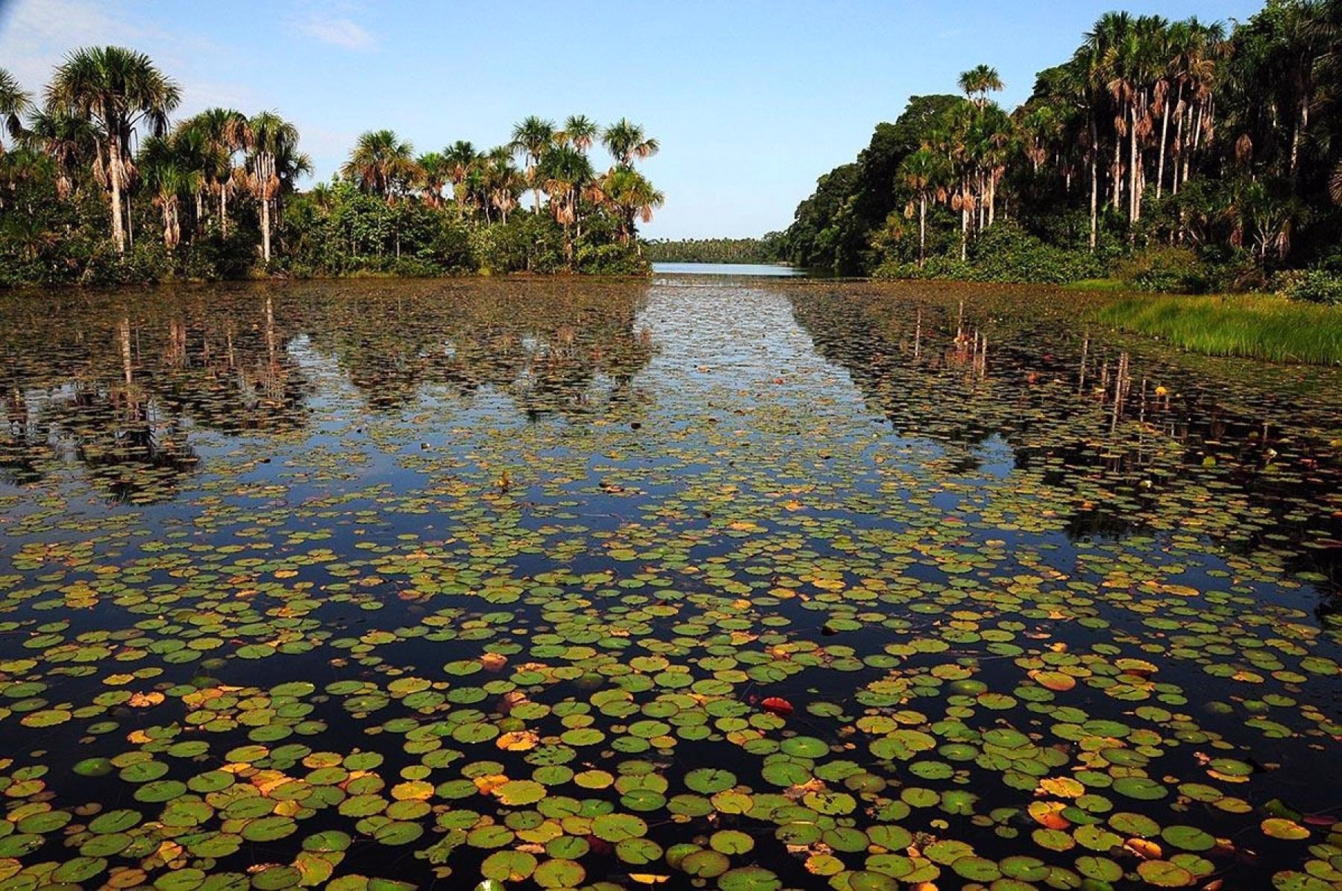 Réserve nationale de Tambopata : le sanctuaire de la nature