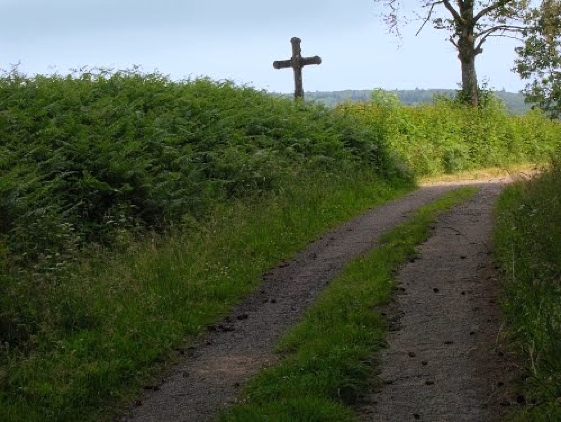 Randonnée sur le chemin de Cluny à Charlieu