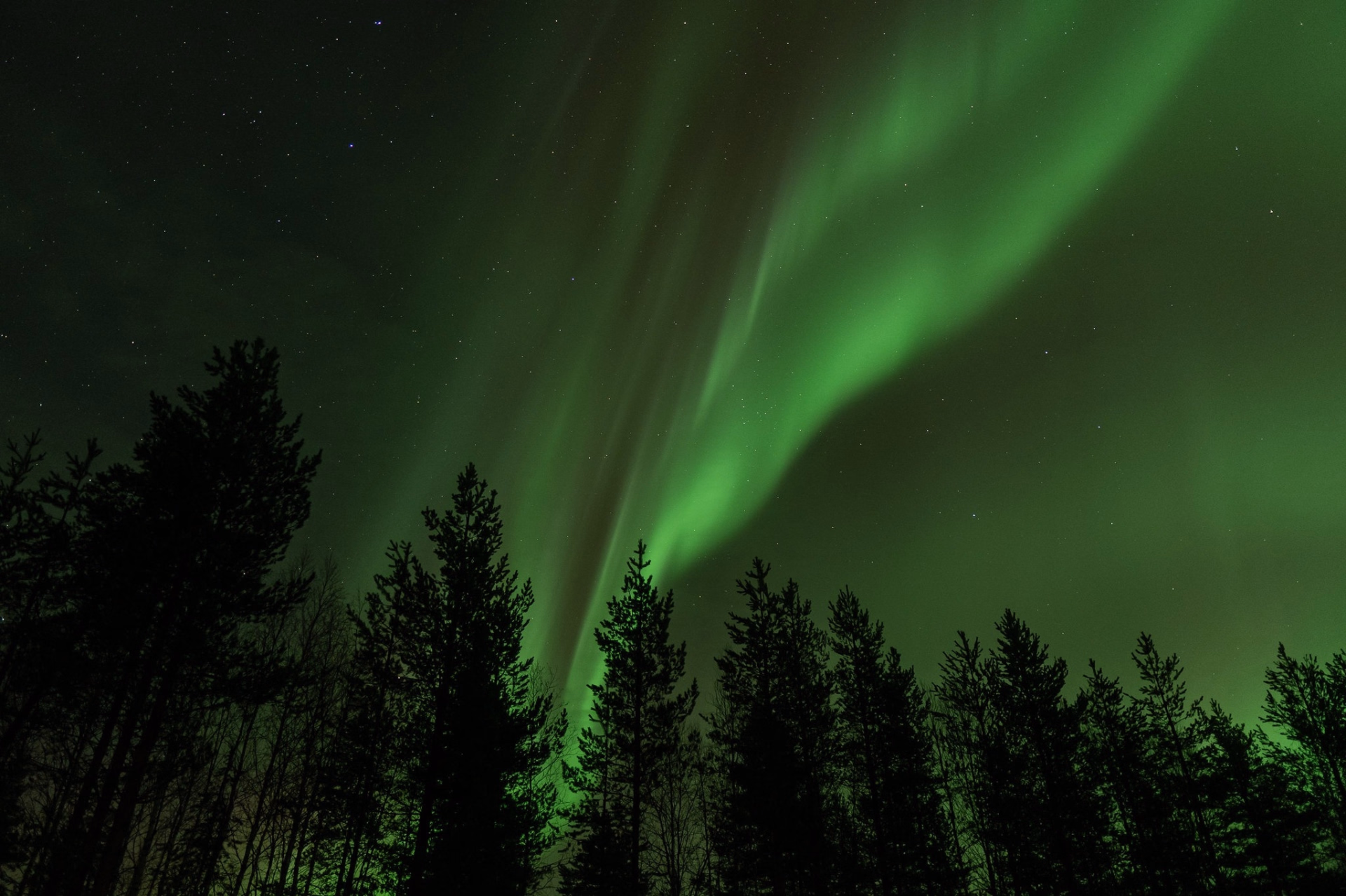 Séjour intimiste en immersion au coeur de la Laponie Finlandaise