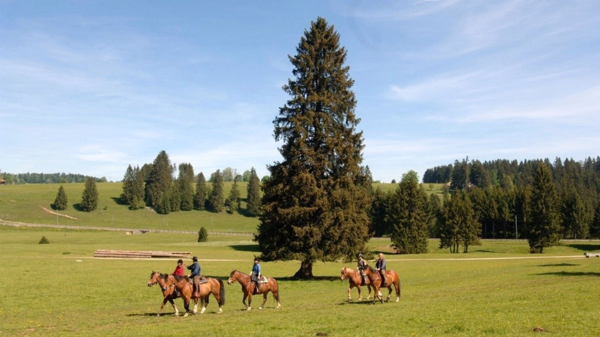 À cheval dans le Jura sauvage entre forêts et cascades