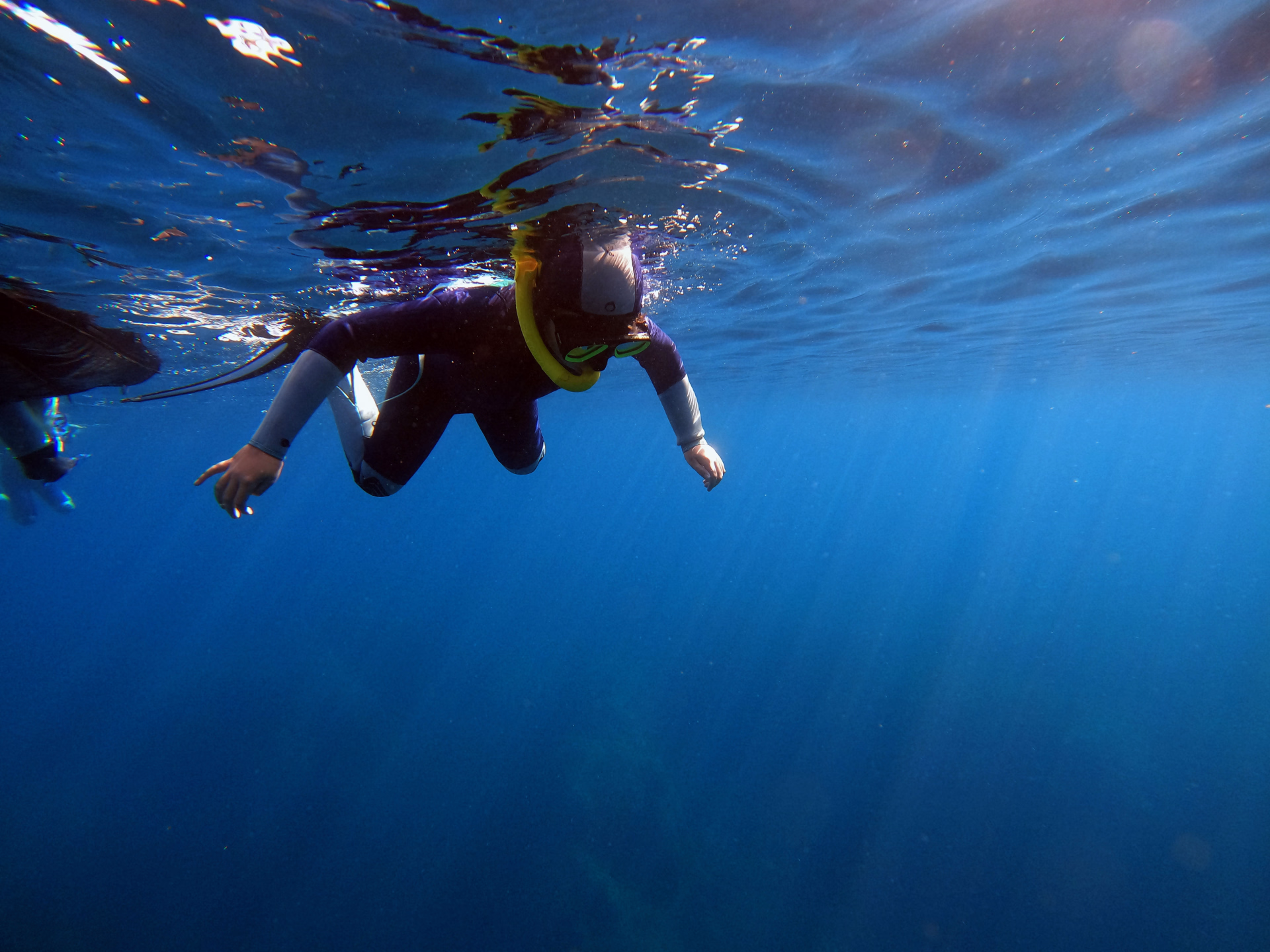 Snorkeling randonnée palmée à Porquerolles