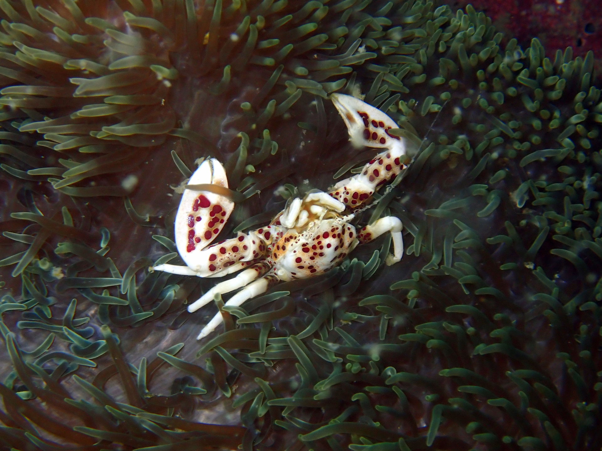 Circuit et plongée au Vietnam Sud de Ho Chi Minh à l'ïle de Phu Quoc