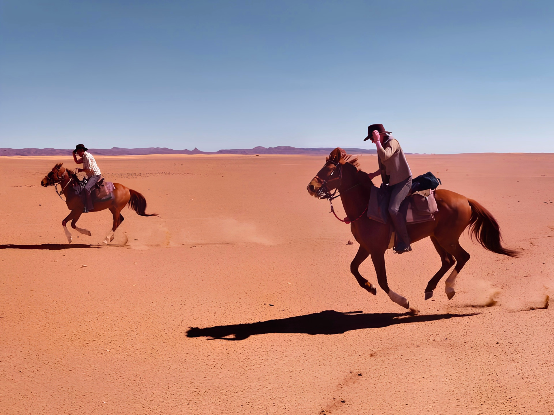 Randonnée équestre dans le désert du Sahara