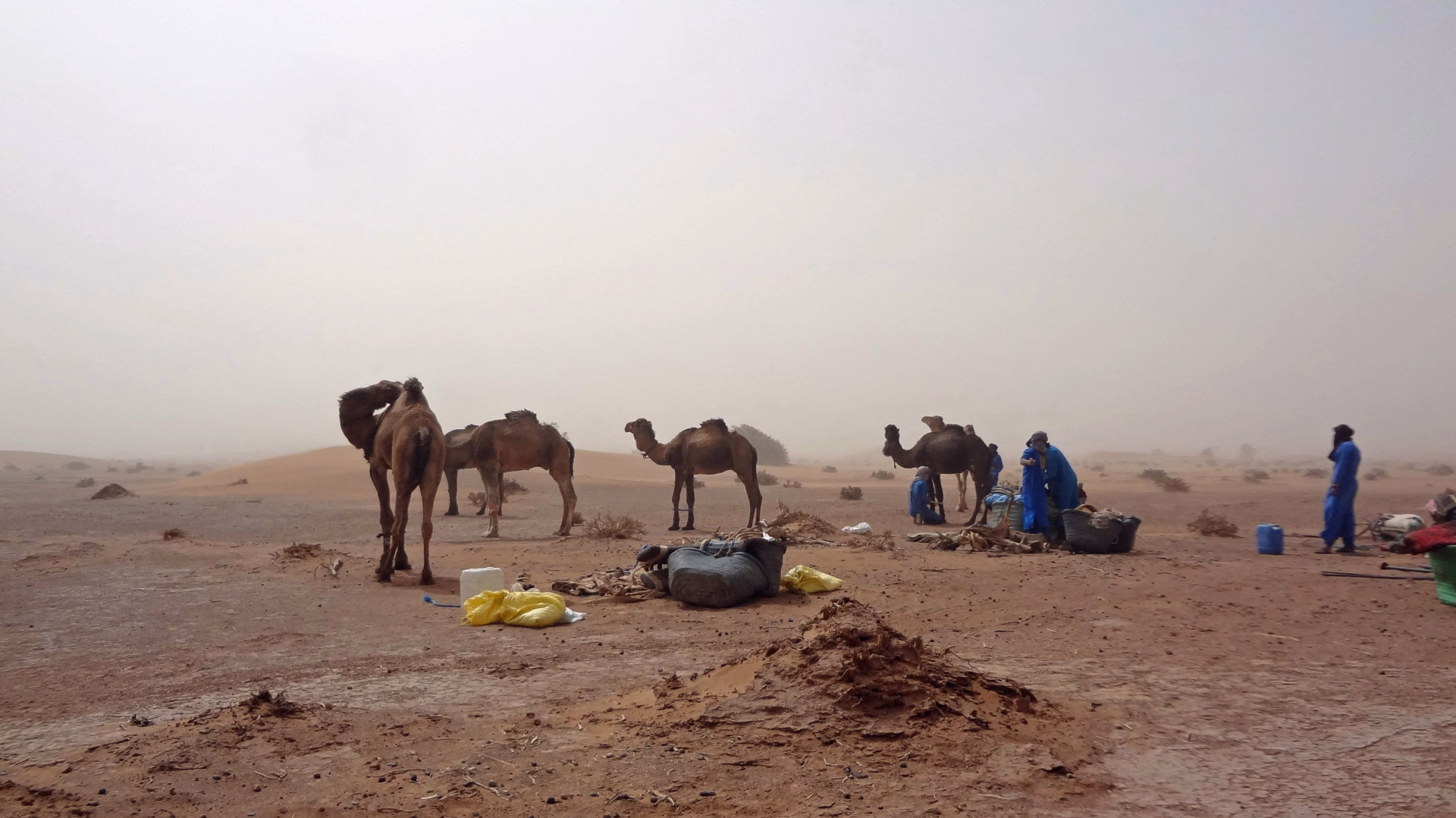 Trek de 3 jours dans le désert : sur la route des anciennes caravanes