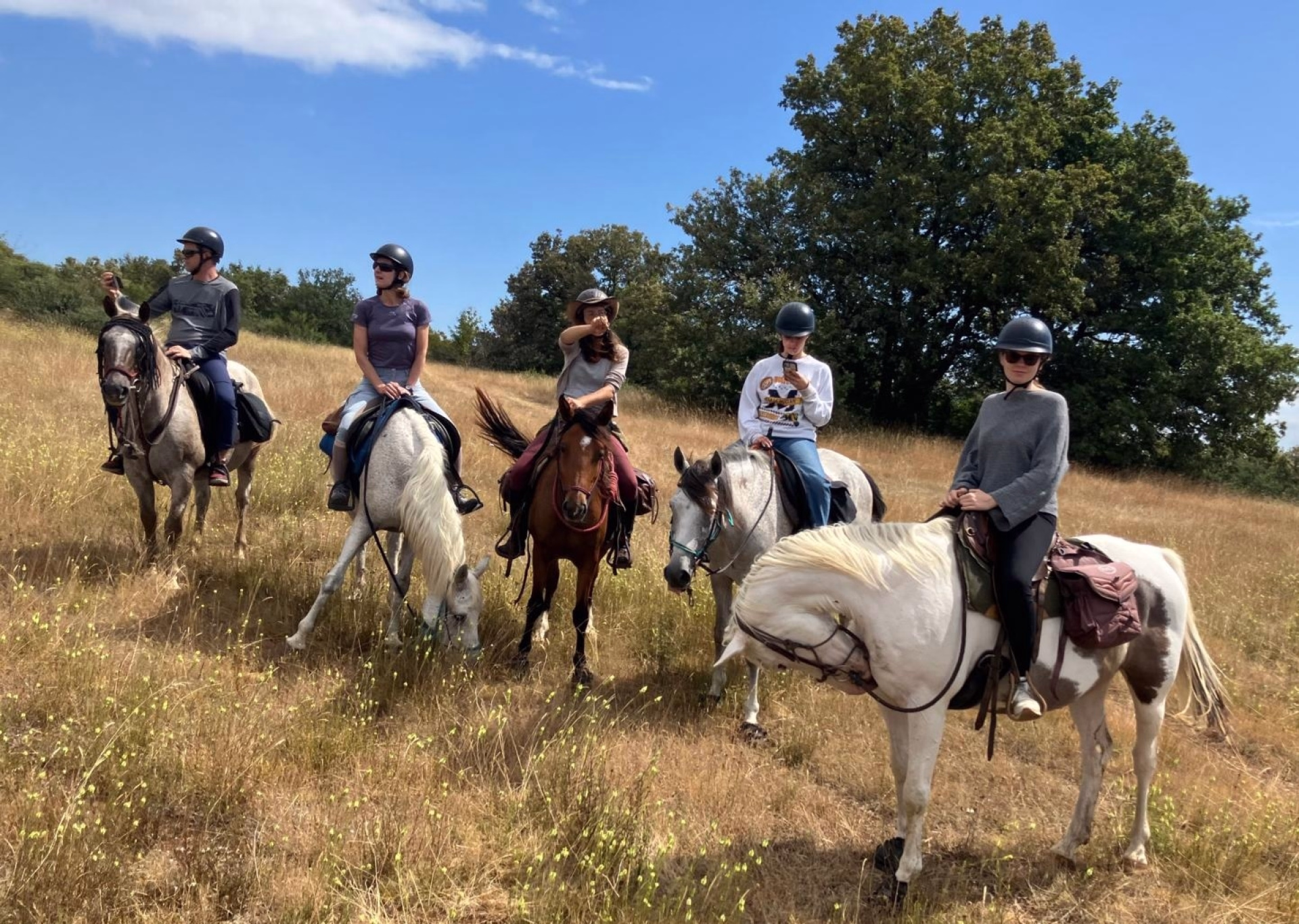 Rando Périg'Or : une randonnée à cheval en étoile au coeur du Périgord