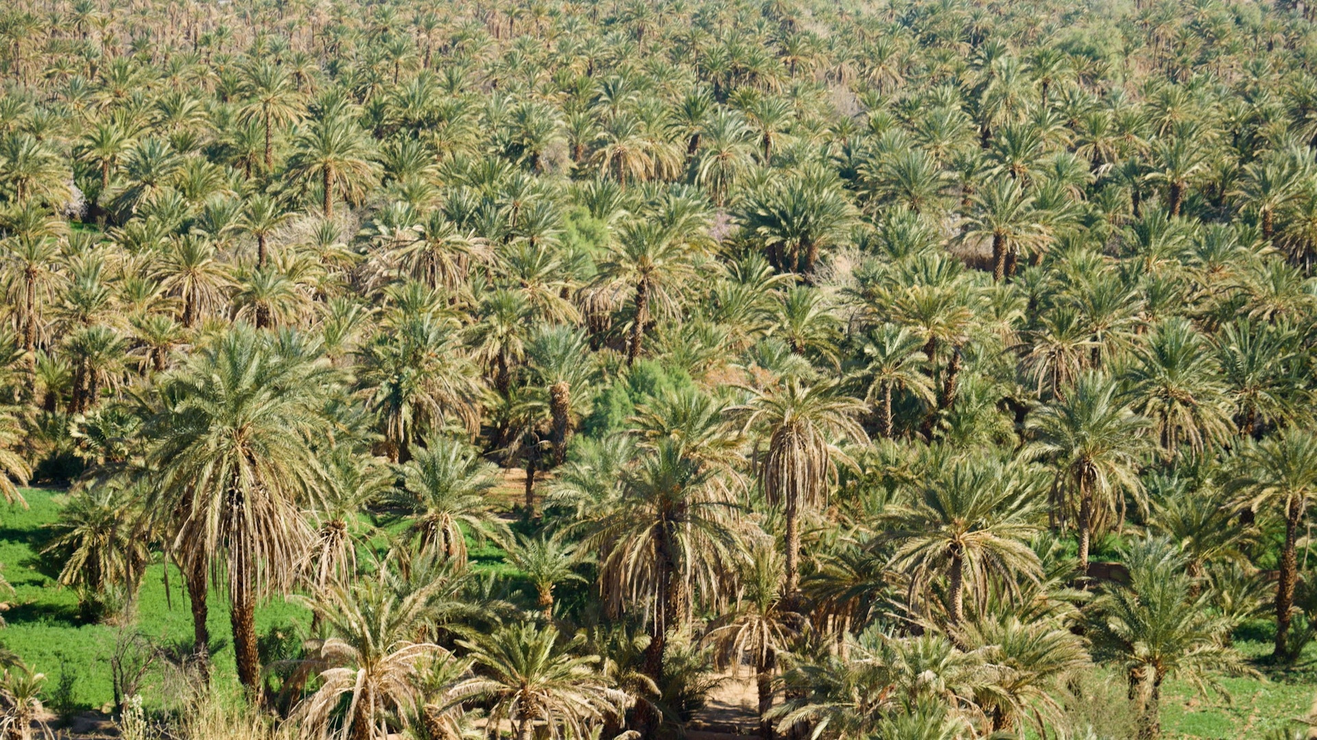 Randonnée estivale au Maroc : Vallée de l’Ounila et Vallée des Roses