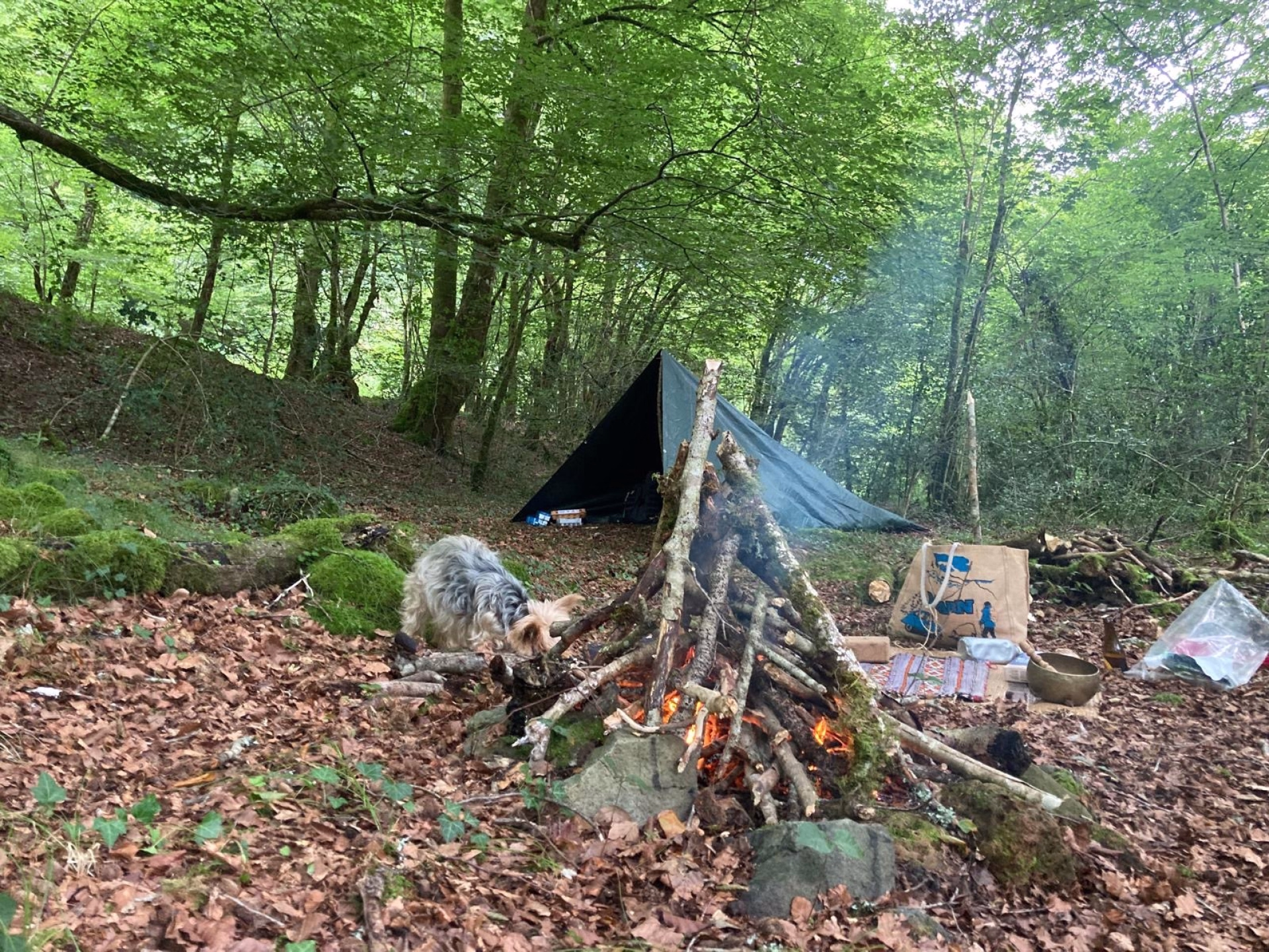 ⛺️ Bivouac/tente
