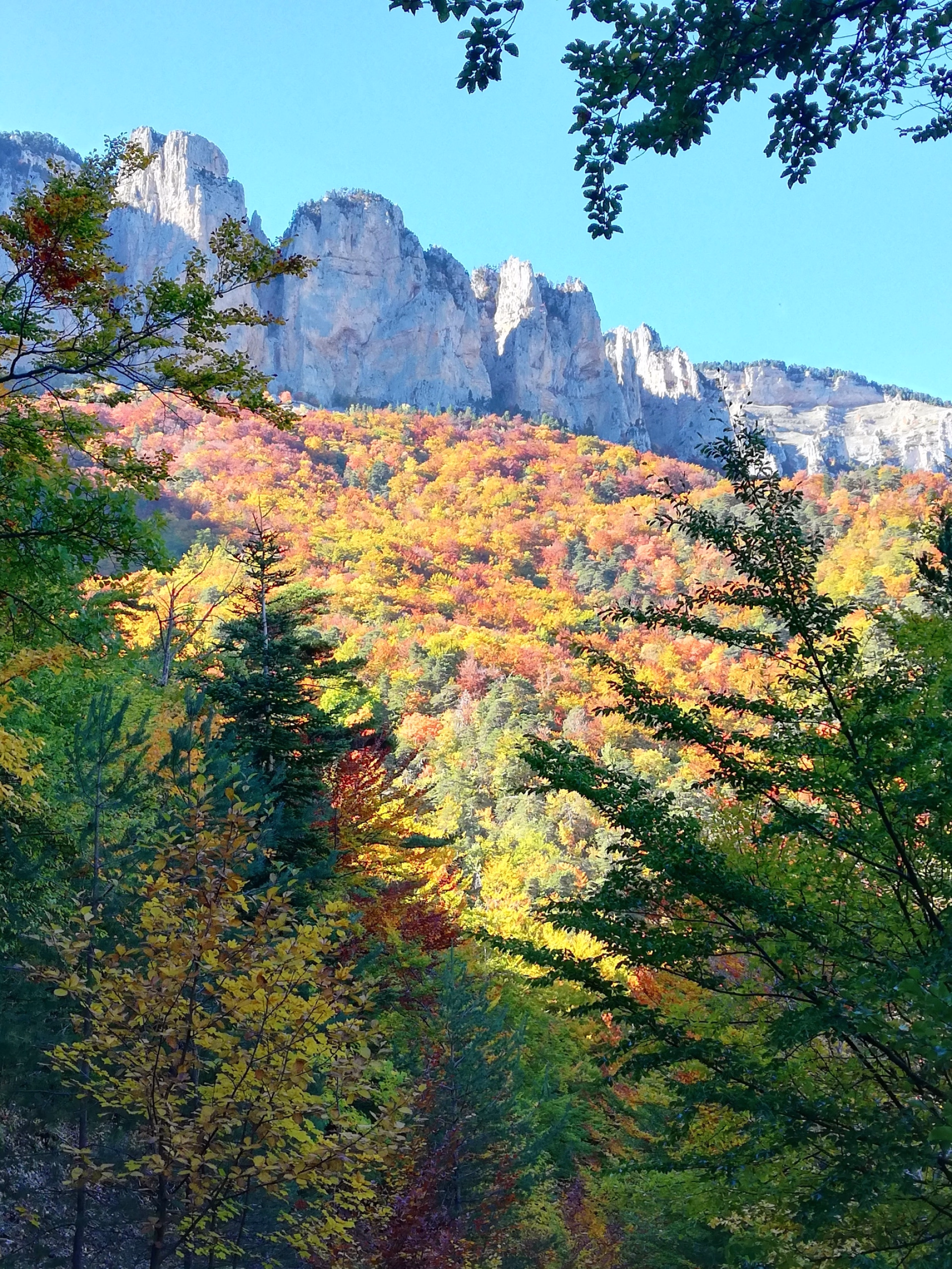 Stage trail et remise en forme à Archiane au cœur du Vercors sauvage