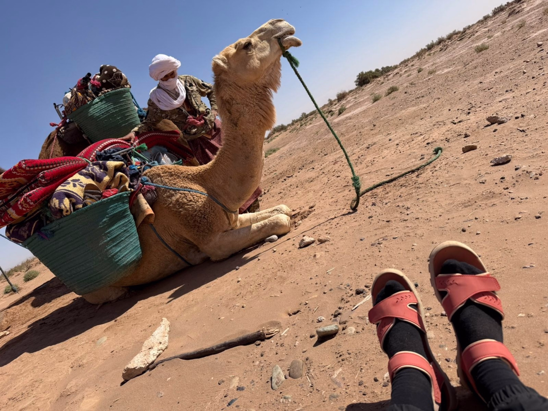 Trek désert Maroc : une aventure au rythme des nomades