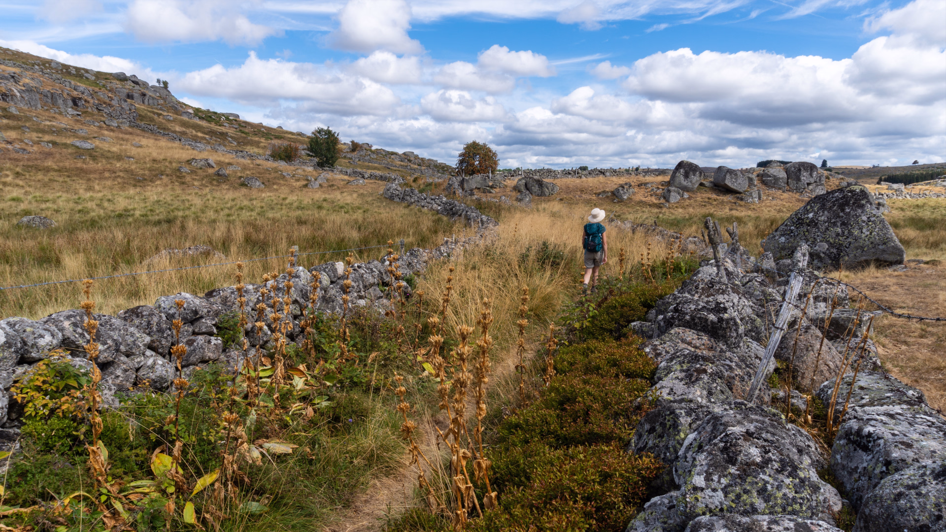 Du Puy-en-Velay à Aumont-Aubrac en randonnée