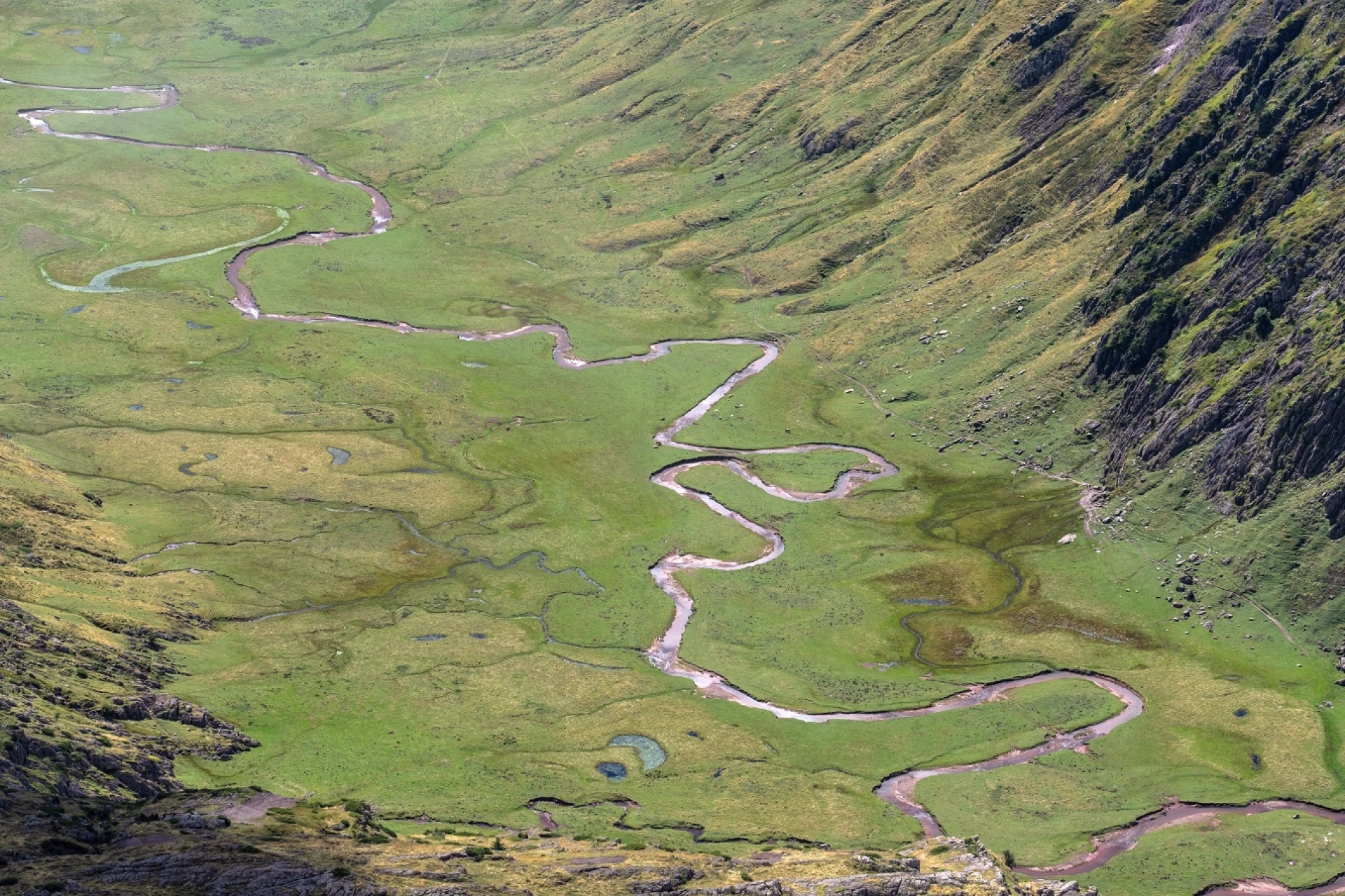 Haute vallée d'Aspe : randonnée sauvage et pastorale pyrénéenne
