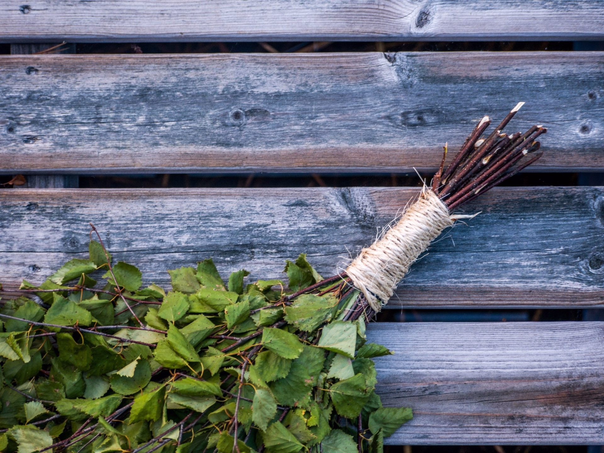 Rando et canoë en terre sauvage : l'essentiel de la Carélie