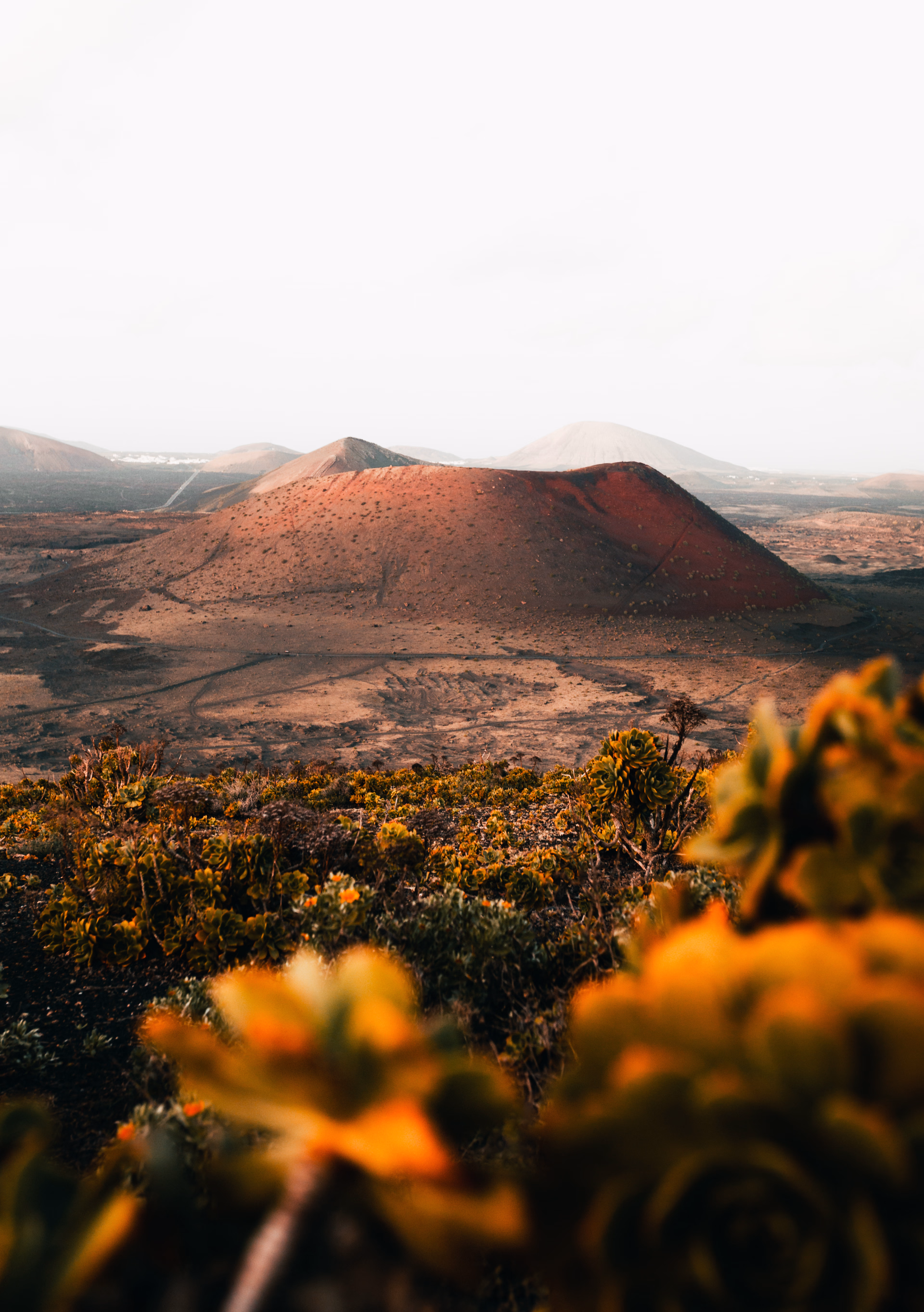 Paysage Lanzarote