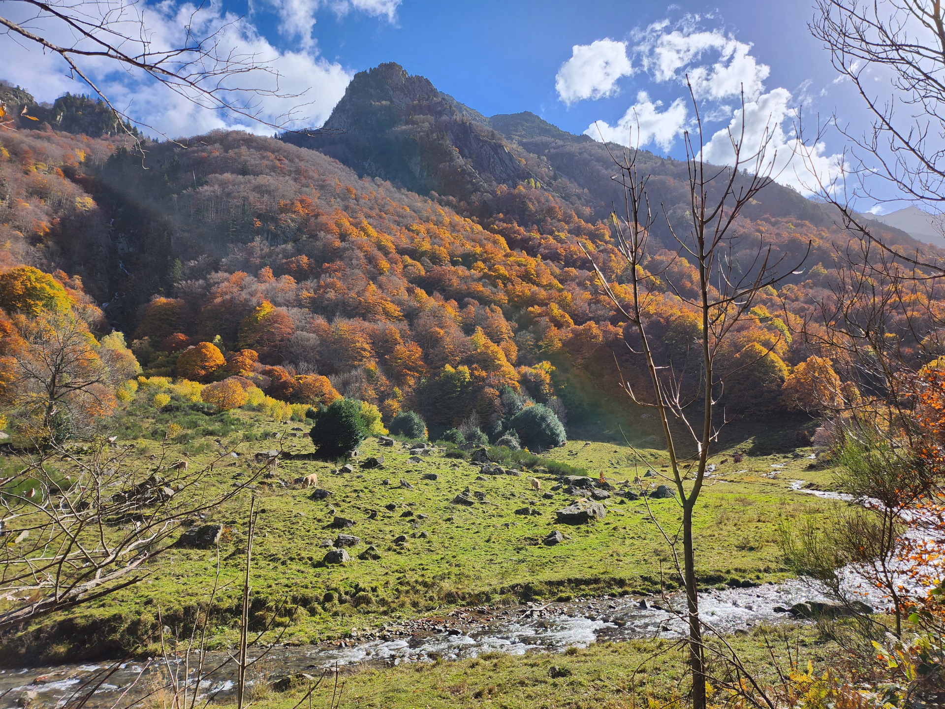 Paysage de montagne dans les Pyrénées