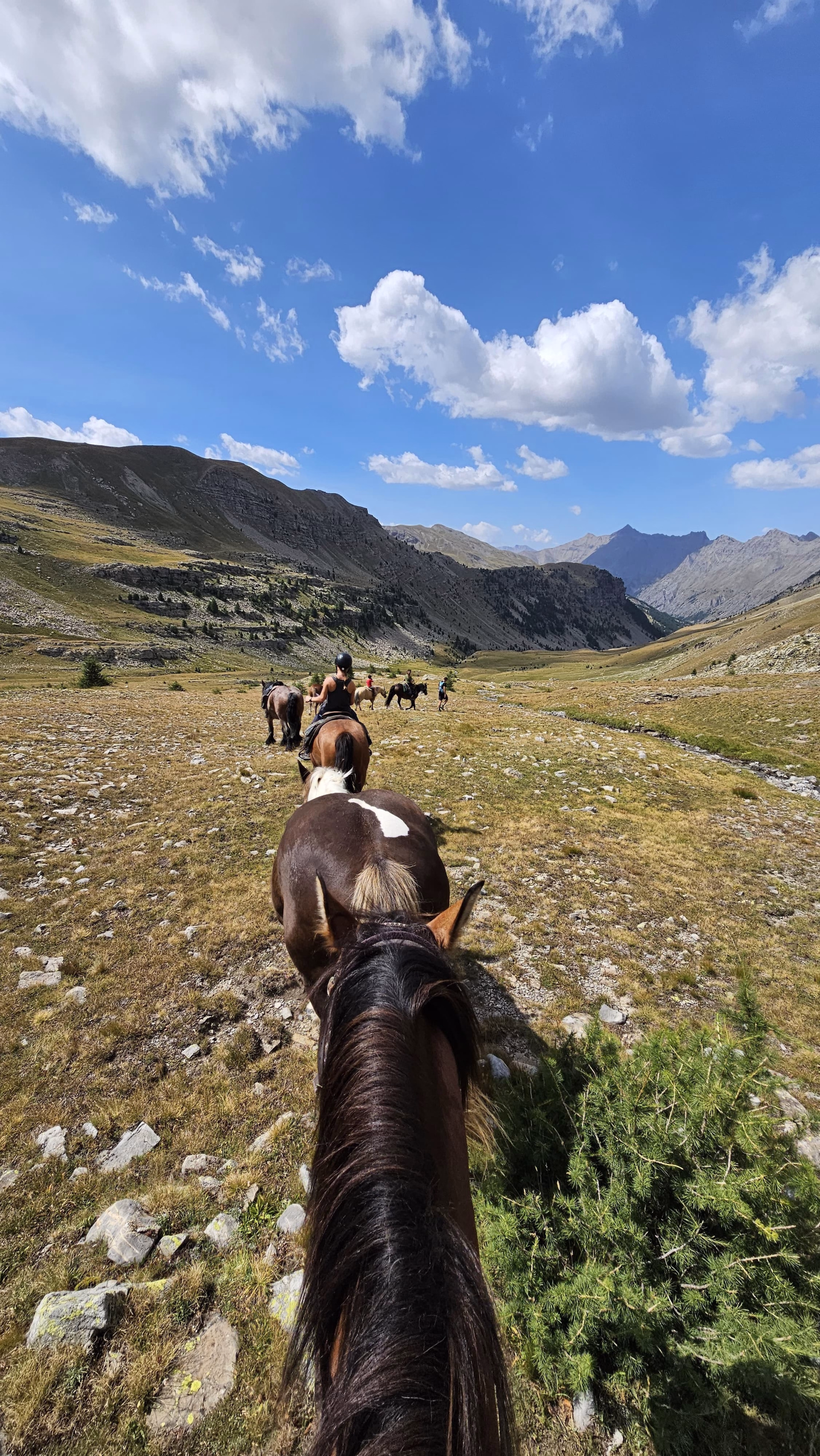 Randonnée équestre et bivouac dans les Alpes, entre France et Italie