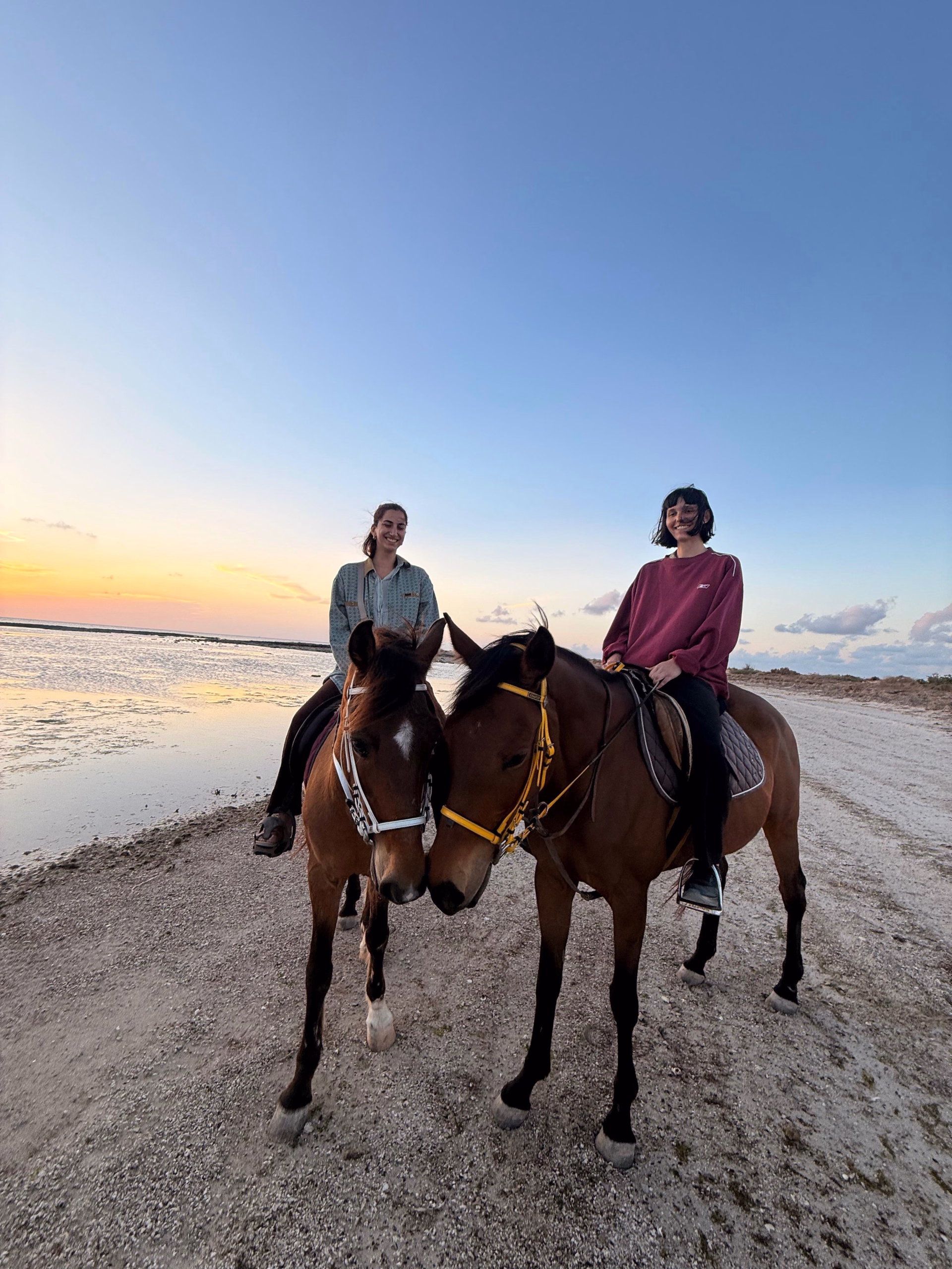 Évasion multi-activités et culturelle à l'île de Djerba