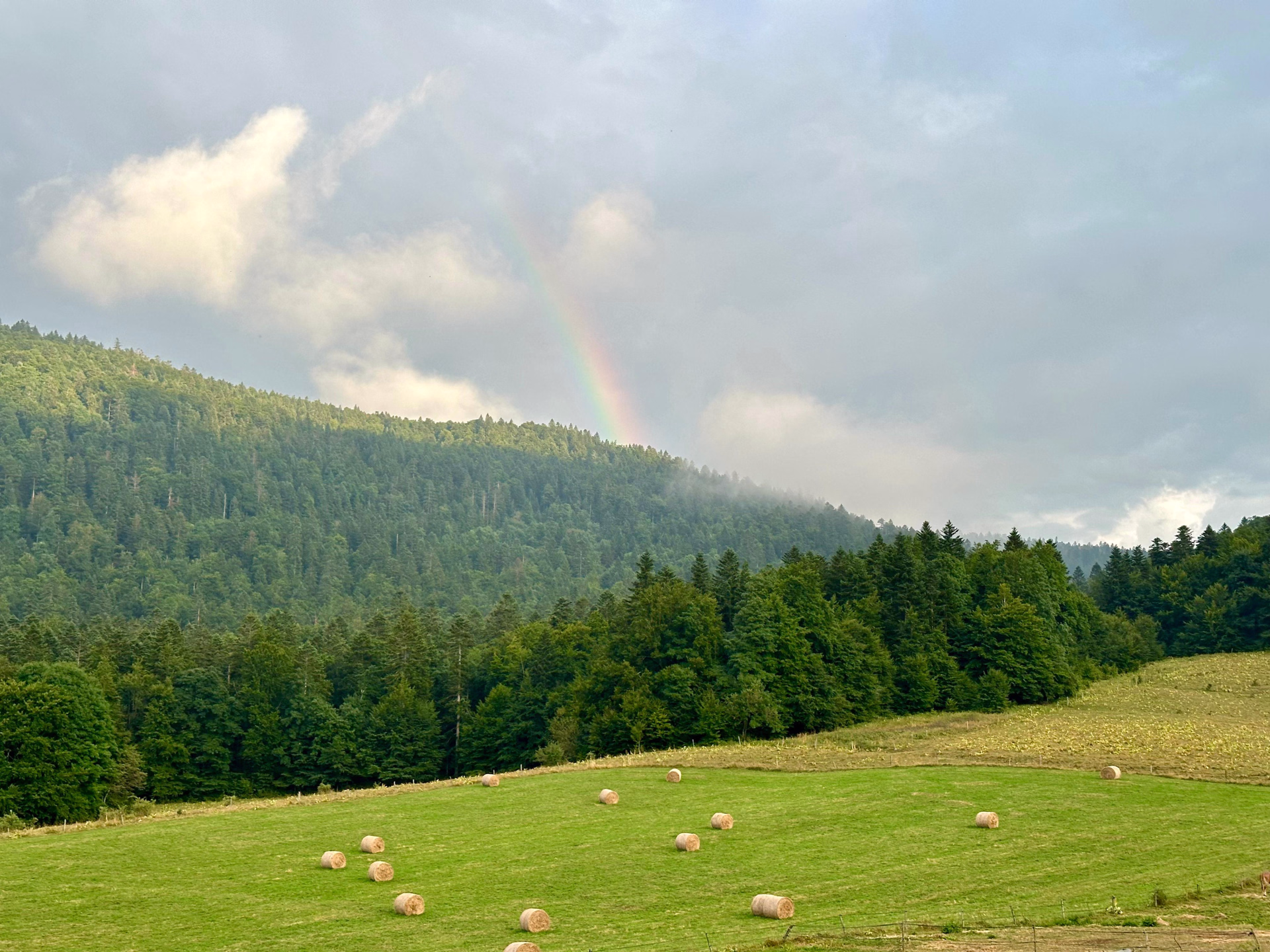 Randonnée équestre dans les Alpes